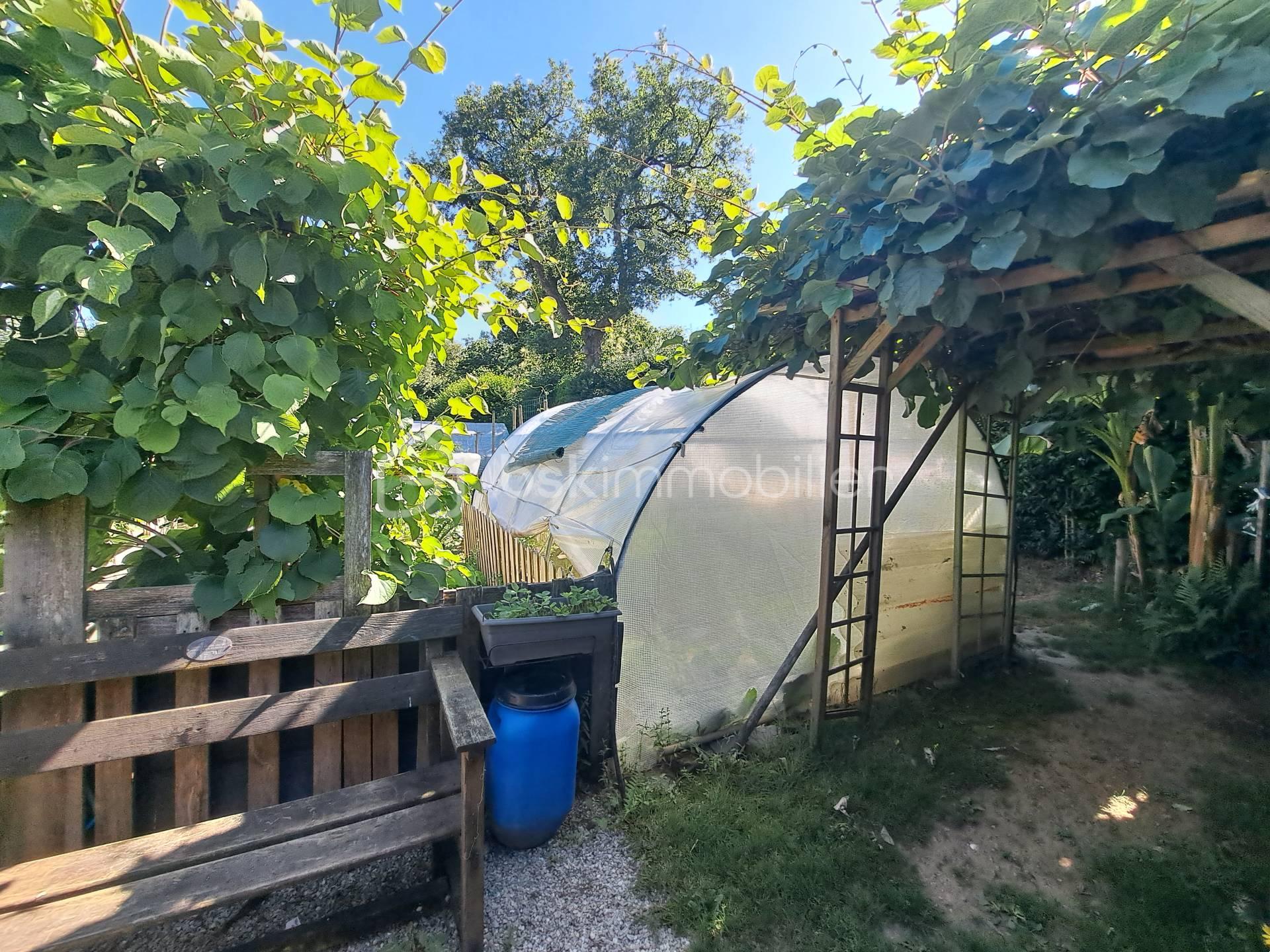 potager.jpg