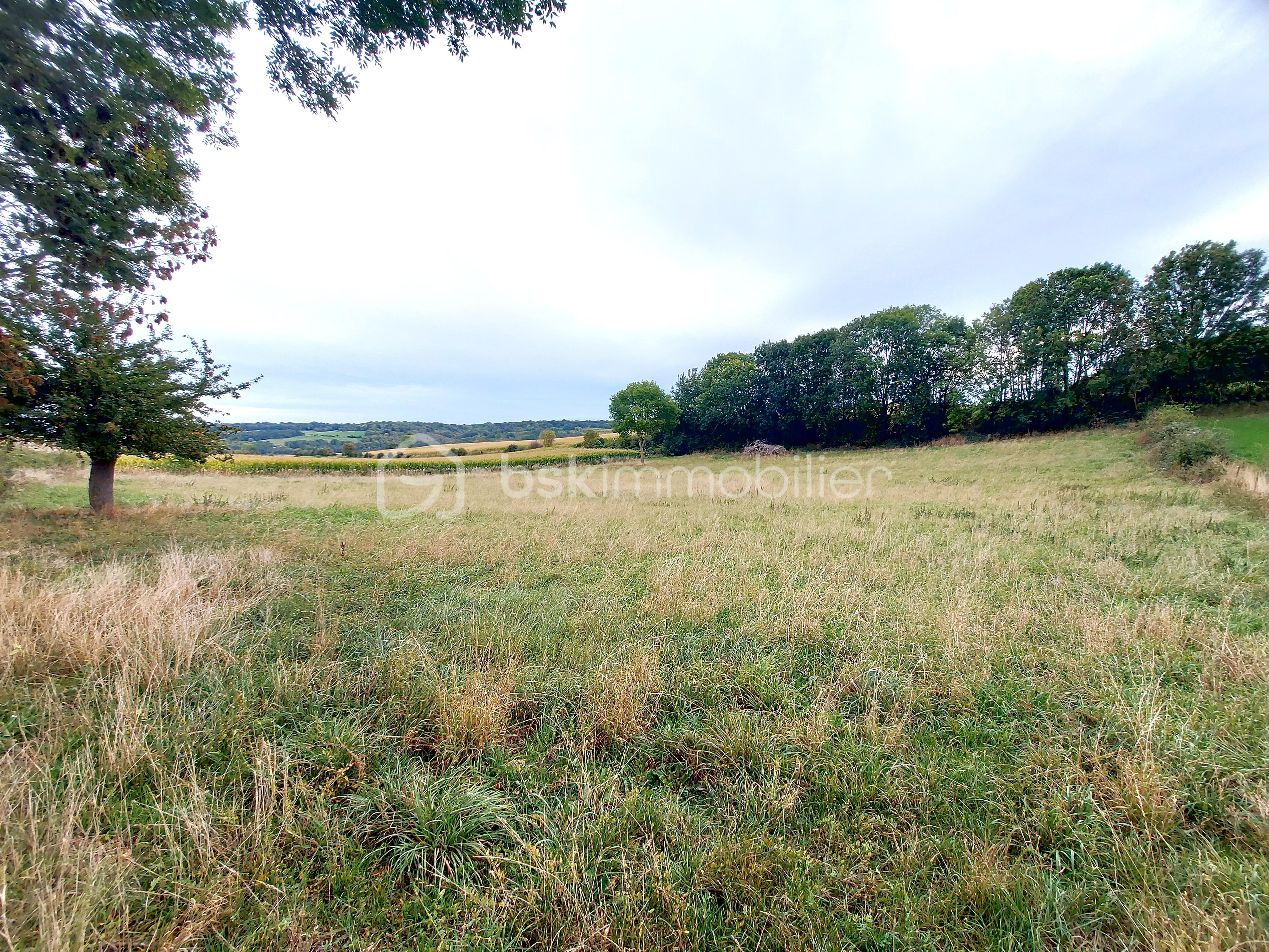 Terrain de loisirs de 5 500 m²