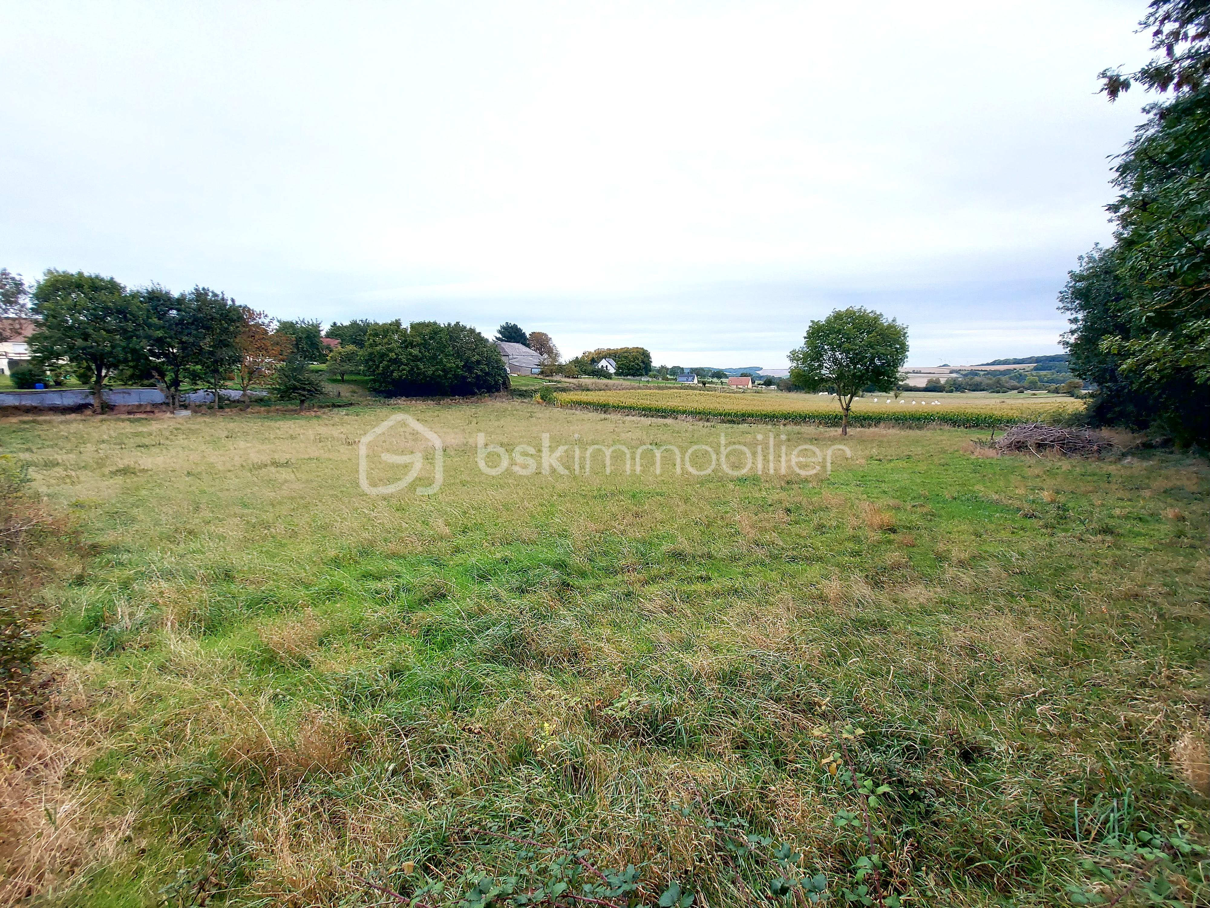 Terrain de loisirs de 5 500 m² - 1.jpg