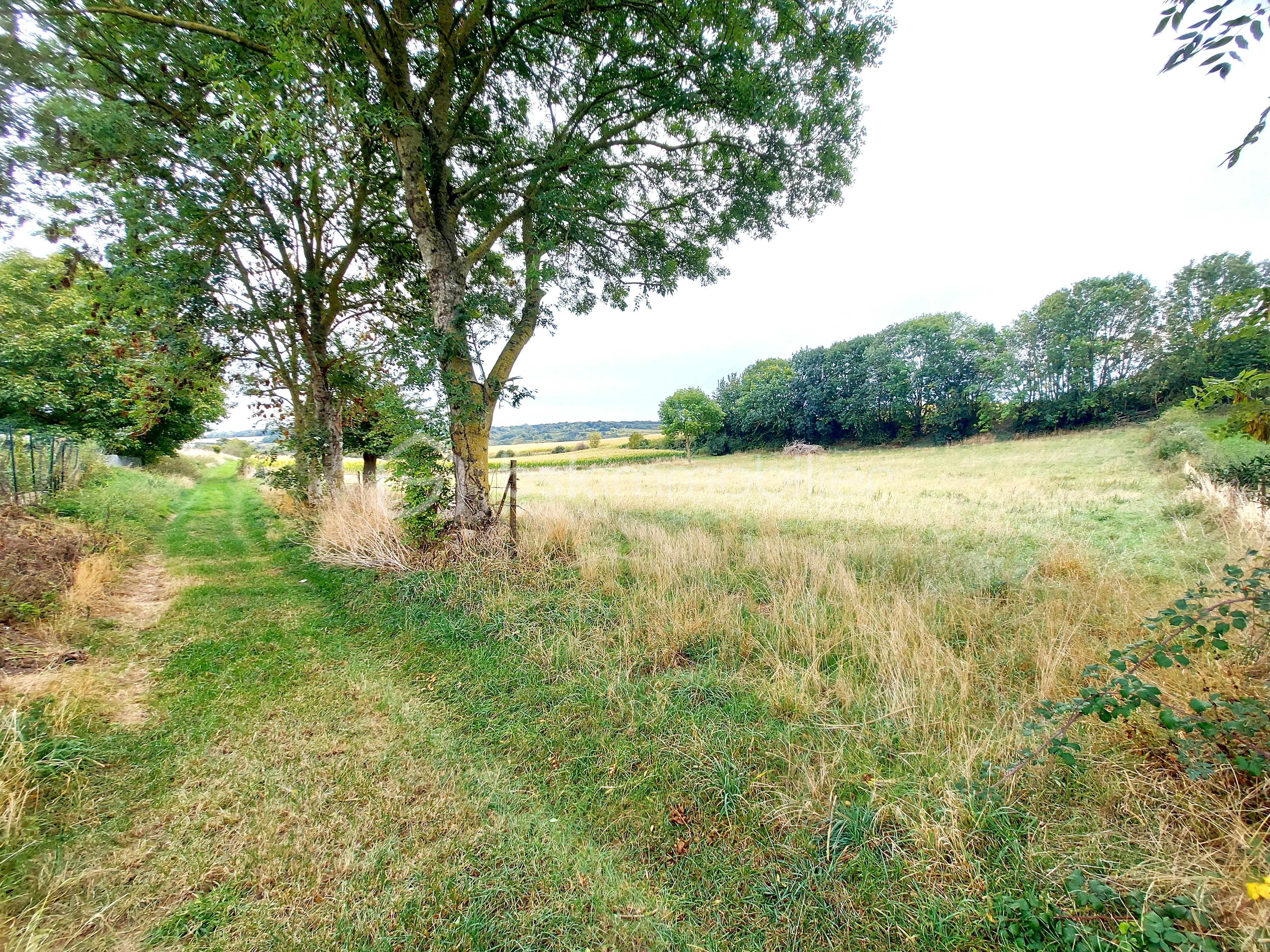 Terrain de loisirs de 5 500 m² - 2.jpg