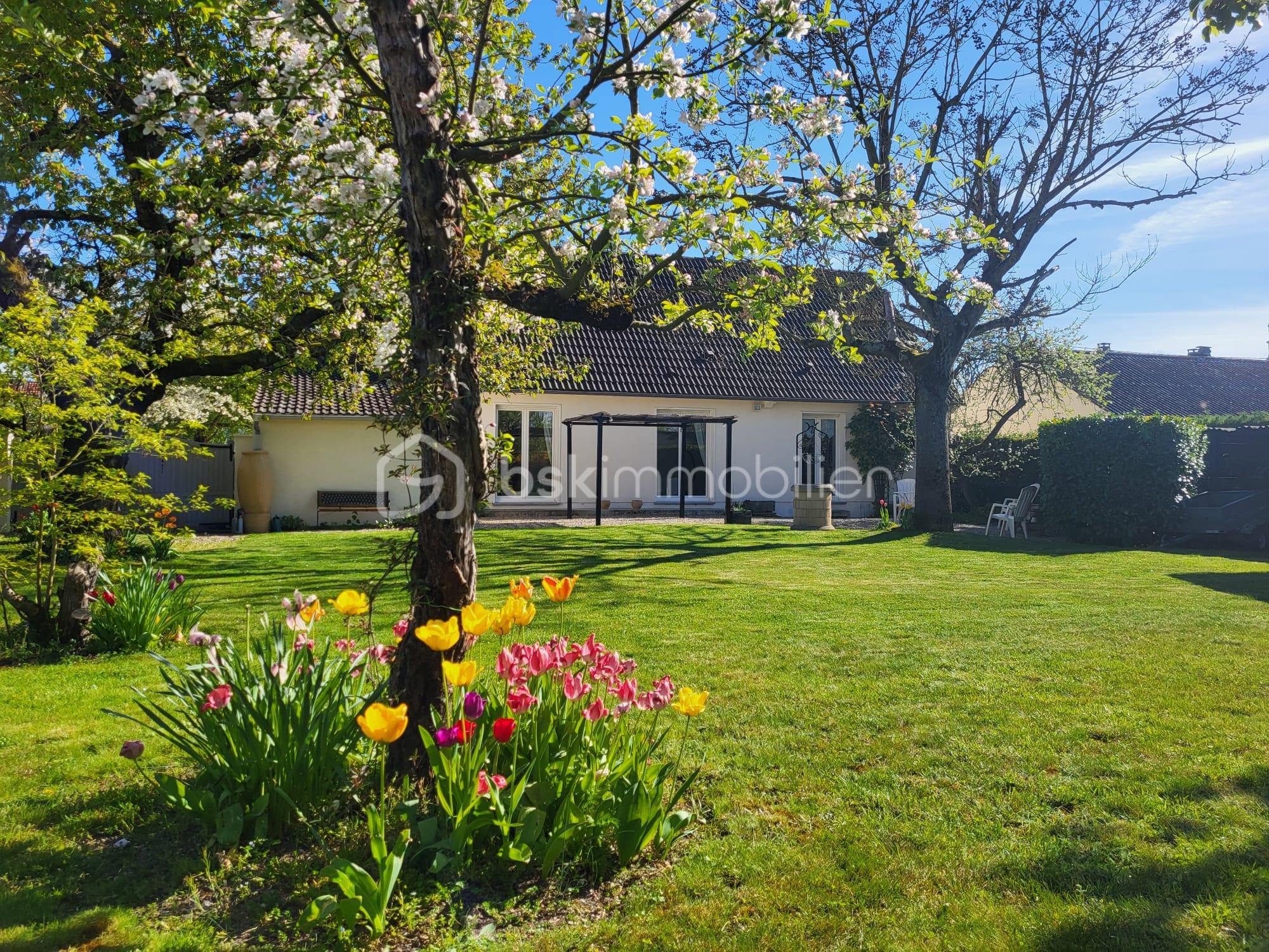 WhatsApp Image 2026-04-14 at 18.00.05.jpeg