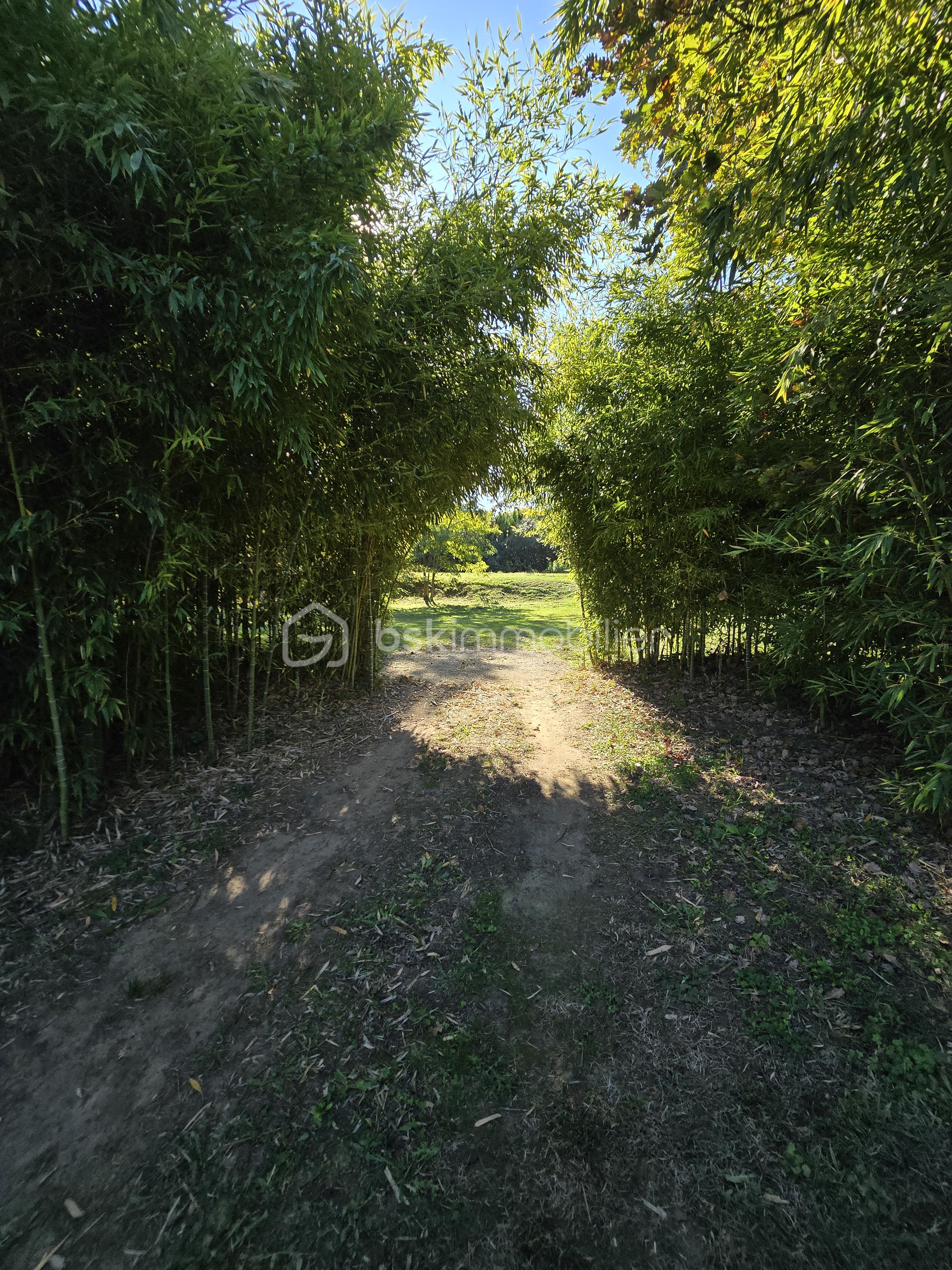 Maison de 142 m² - 20251018_150324.jpg