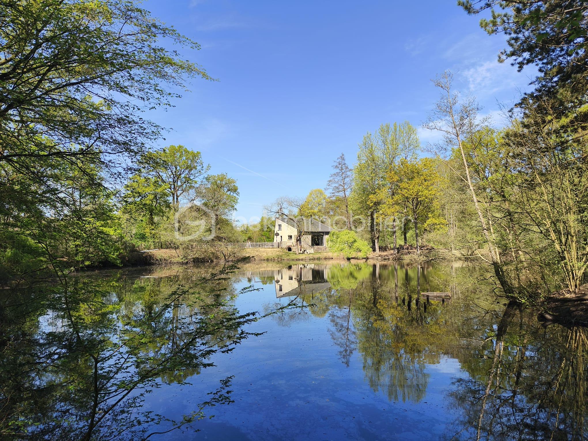 WhatsApp Image 2026-04-11 at 14.59.15.jpeg