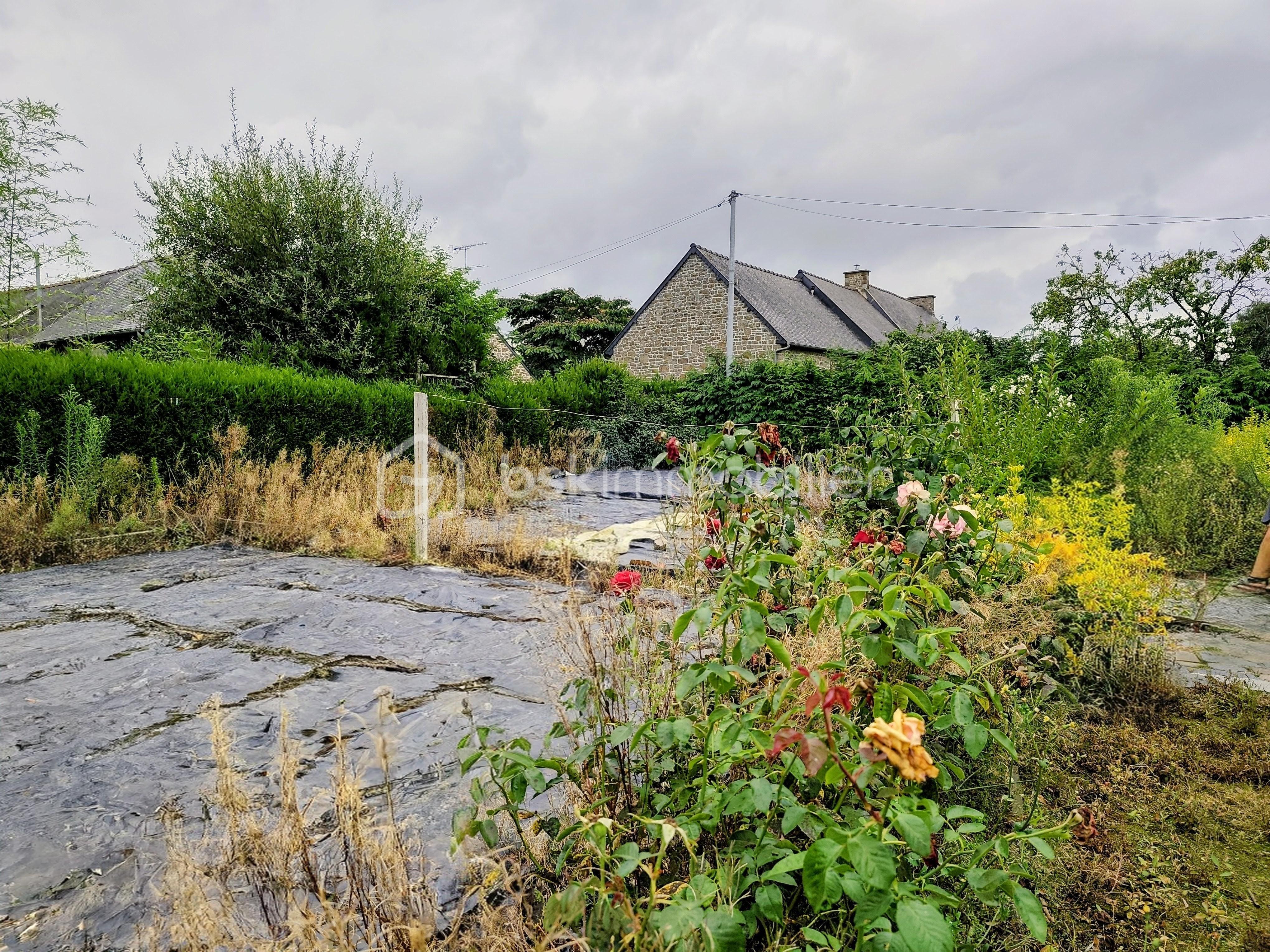 Maison de 64 m² - Jardin.jpg