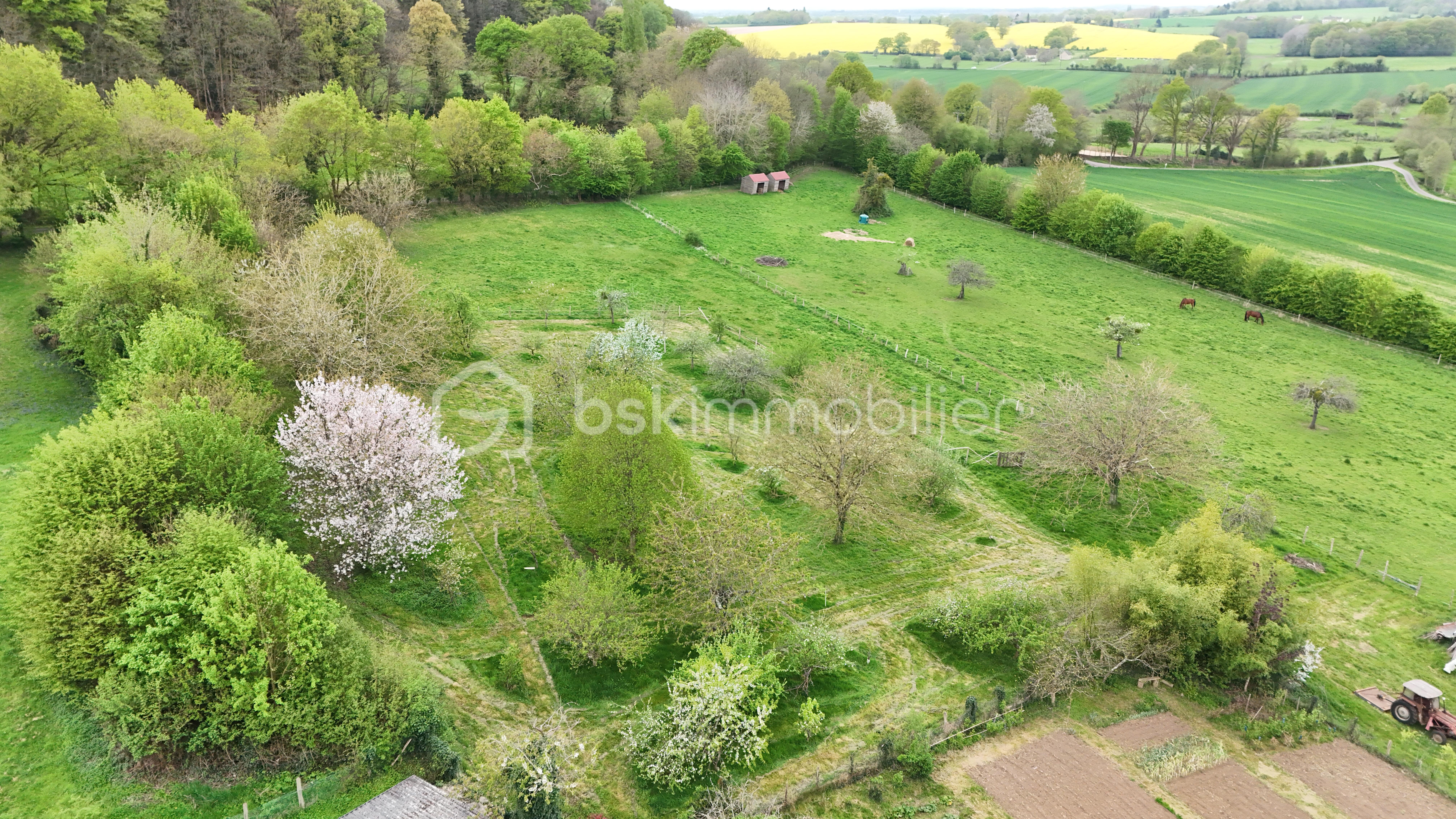 DJI_20260411114957_0007_D.JPG