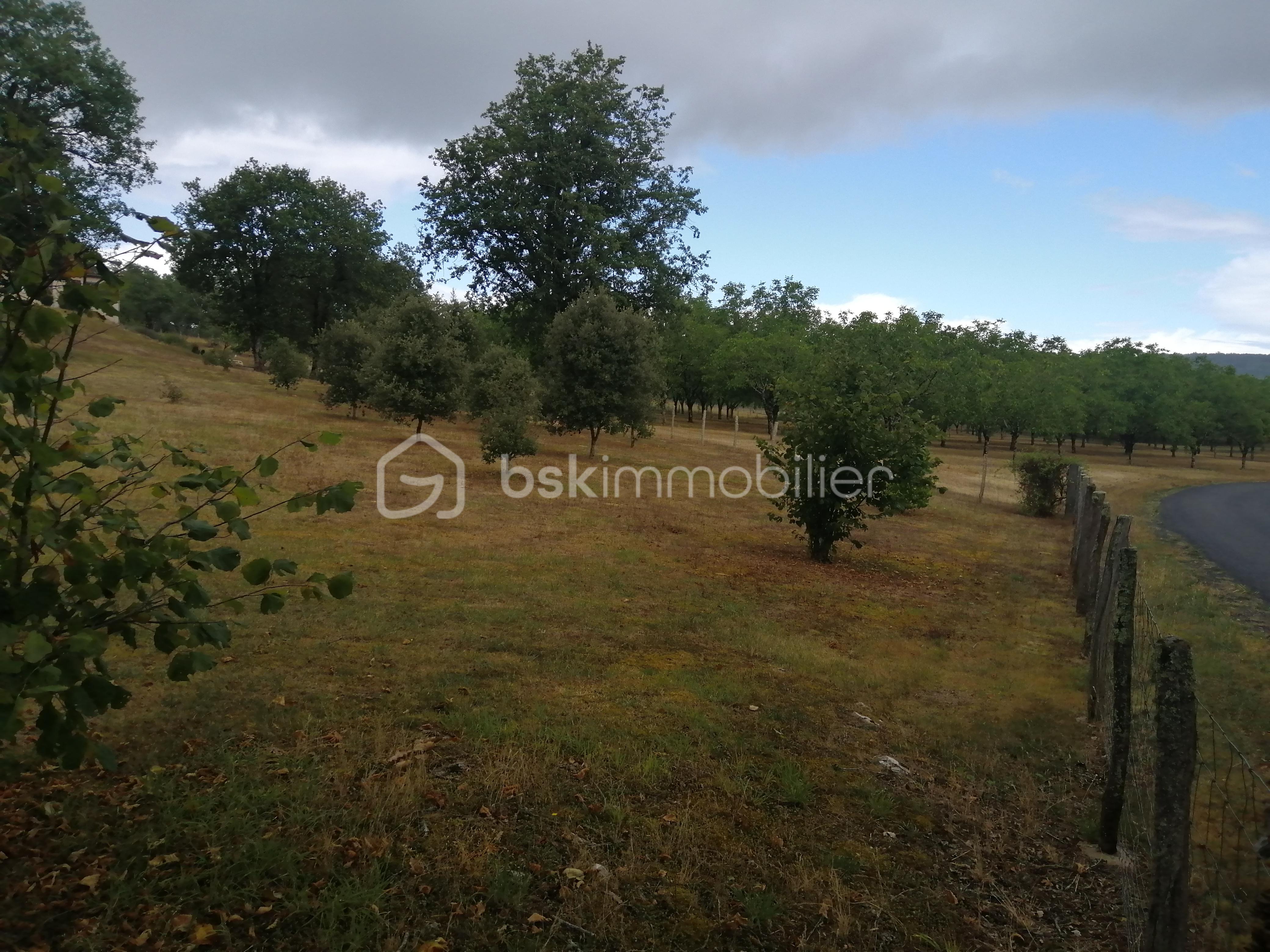 Terrain de 3 000 m² - 2025-07-21  -  Azerat - Terrain à vendre 1.jpg