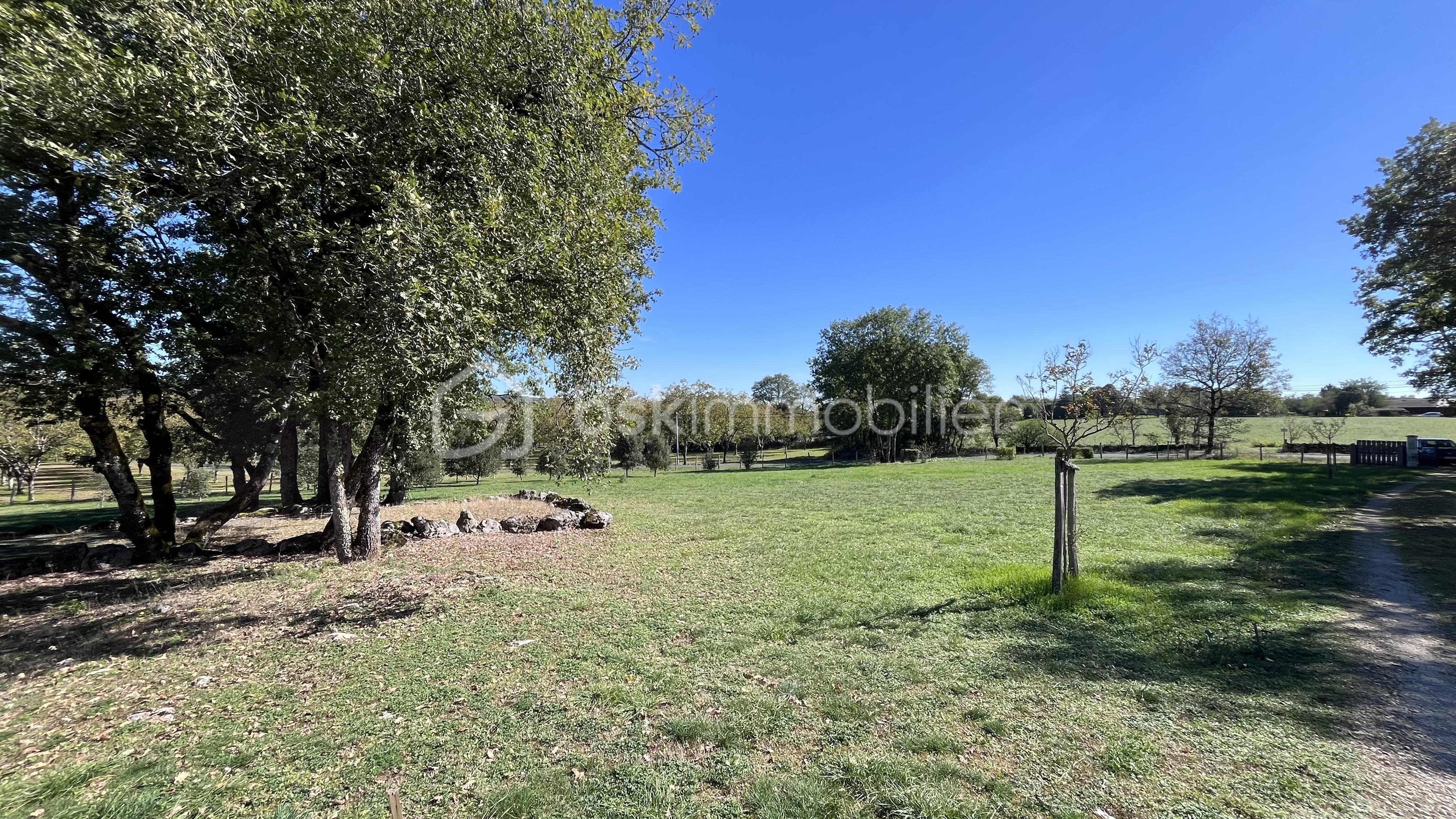 Terrain de 3 000 m² - IMG_2600.jpg