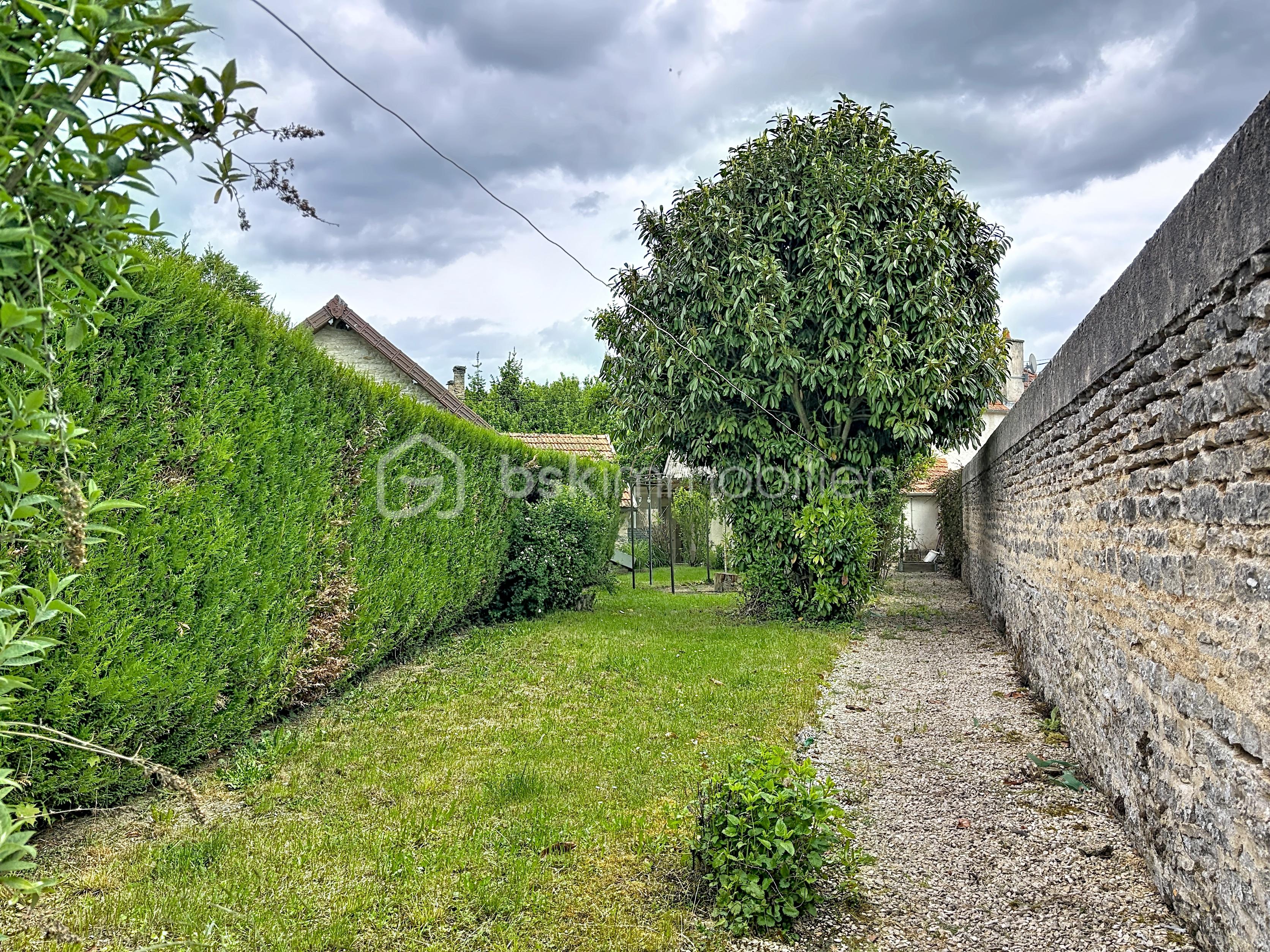tarsul_00001 (10).jpg