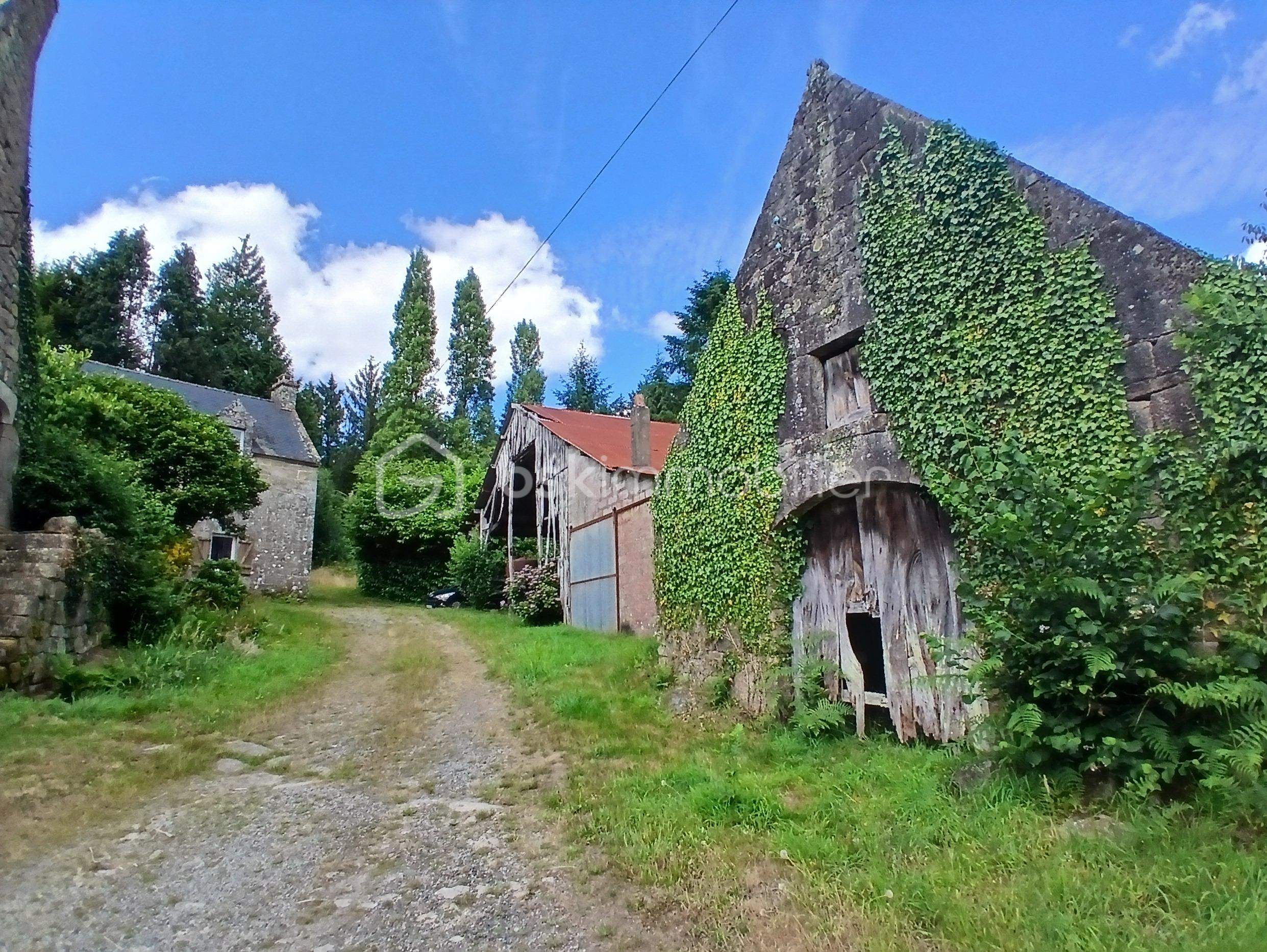 Corps de ferme de 128 m² - 20250623_162034.JPG