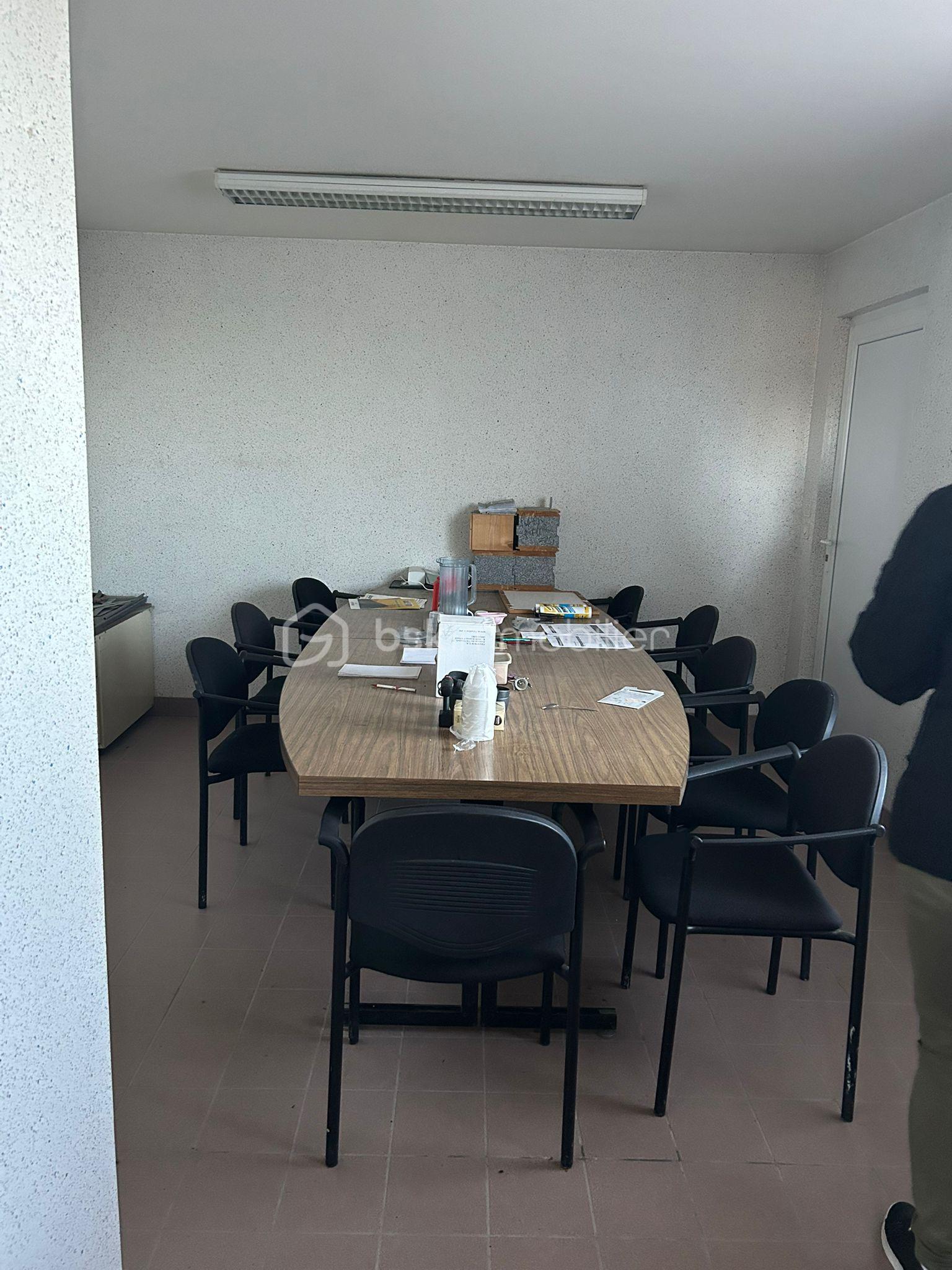 WhatsApp Image 2026-02-19 at 12.08.17.jpeg