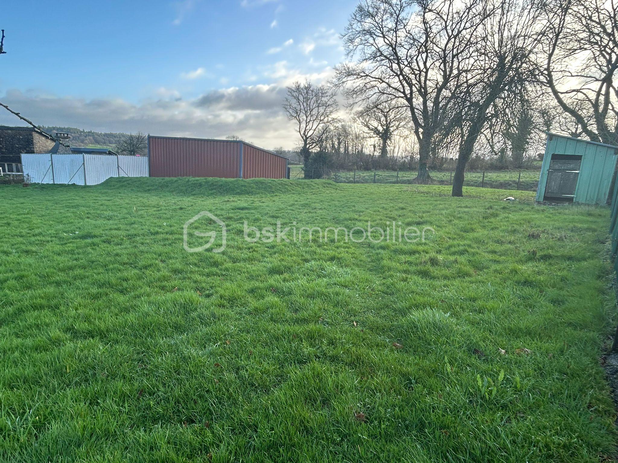 WhatsApp Image 2026-02-19 at 12.08.15s.jpeg