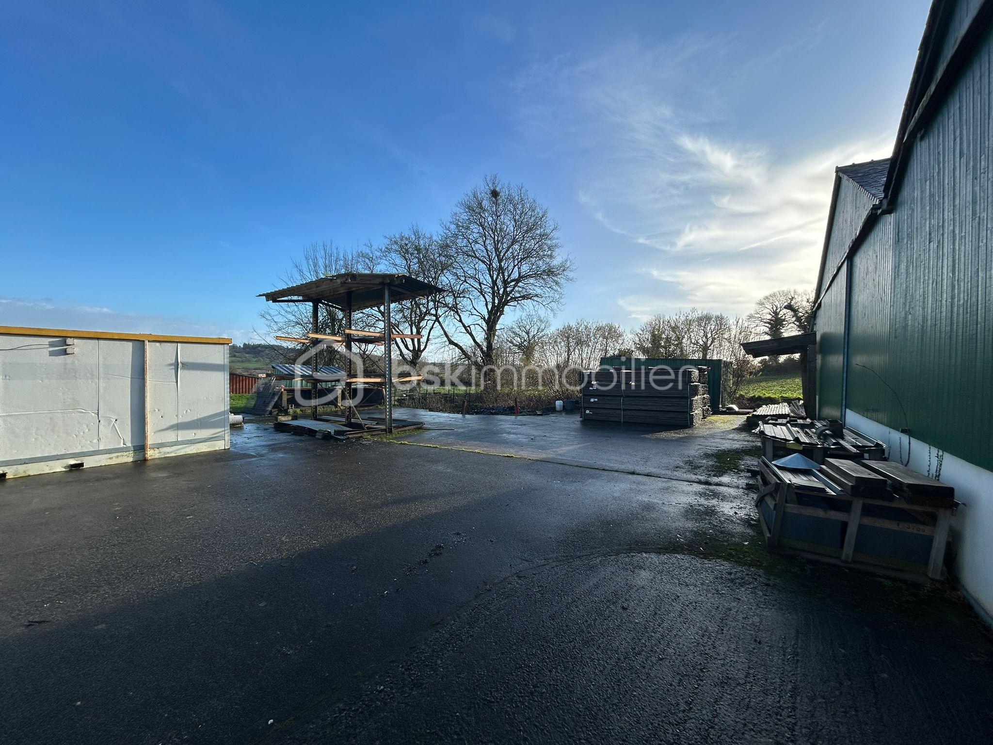 WhatsApp Image 2026-02-19 at 12.08.22.jpeg