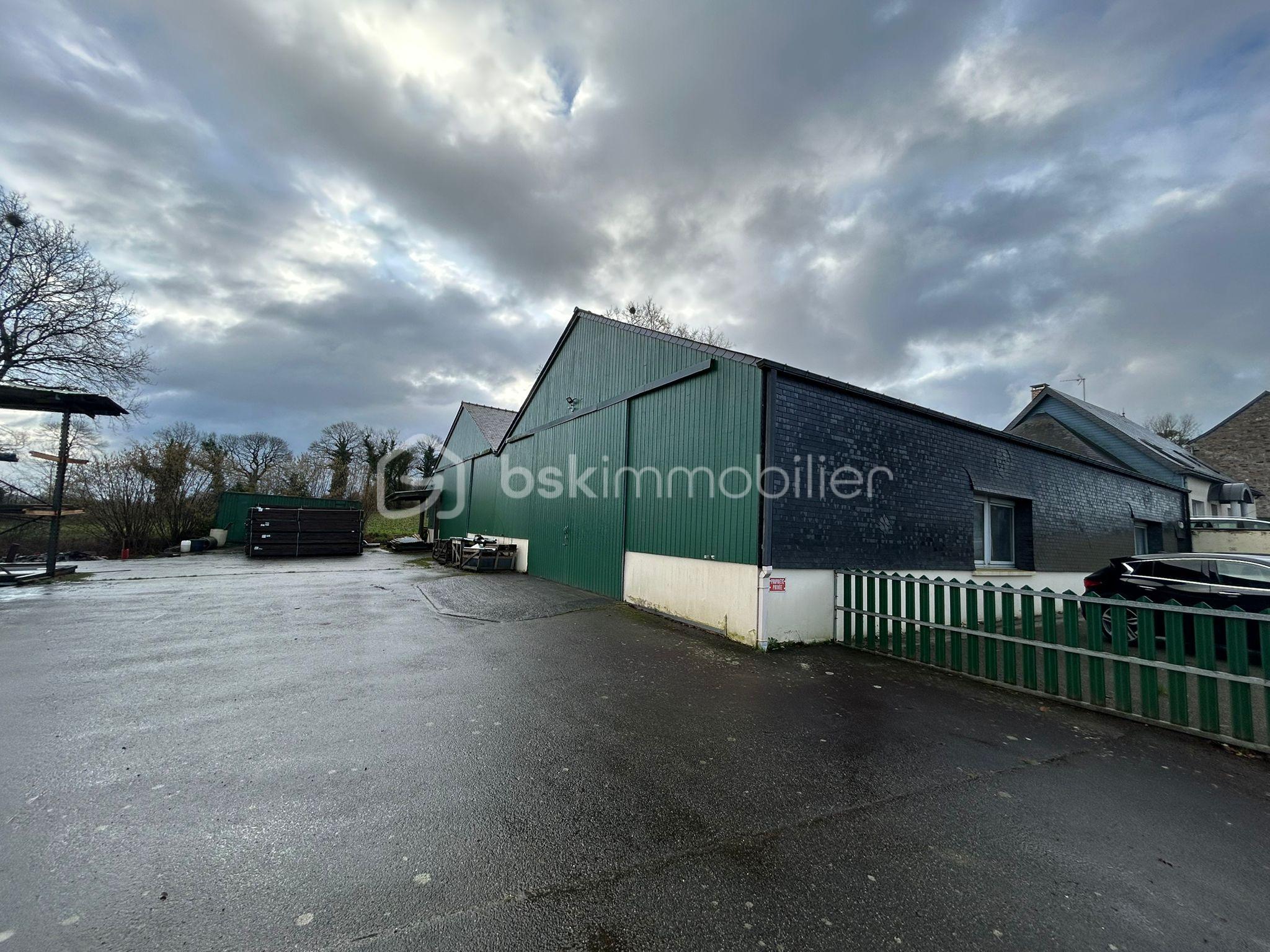 WhatsApp Image 2026-02-19 at 12.08.13.jpeg