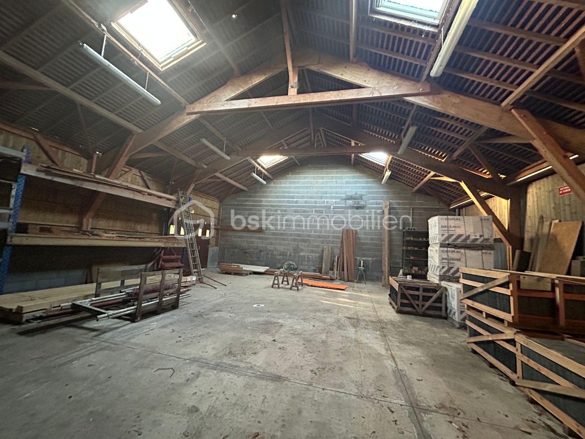 WhatsApp Image 2026-02-19 at 12.08.18.jpeg