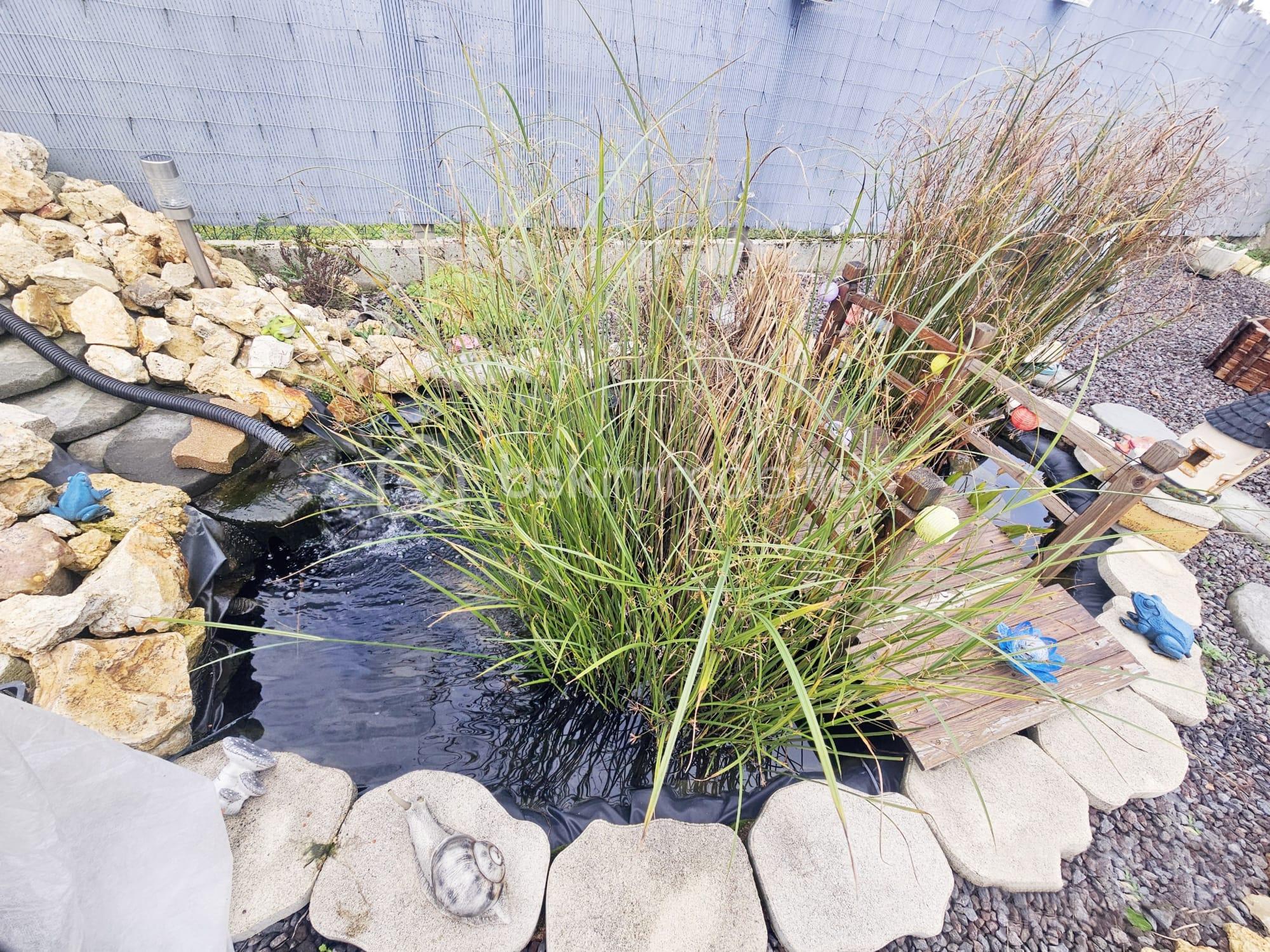 Maison traditionnelle de 80 m² - WhatsApp Image 2025-11-03 at 21.30.23 (2).jpeg