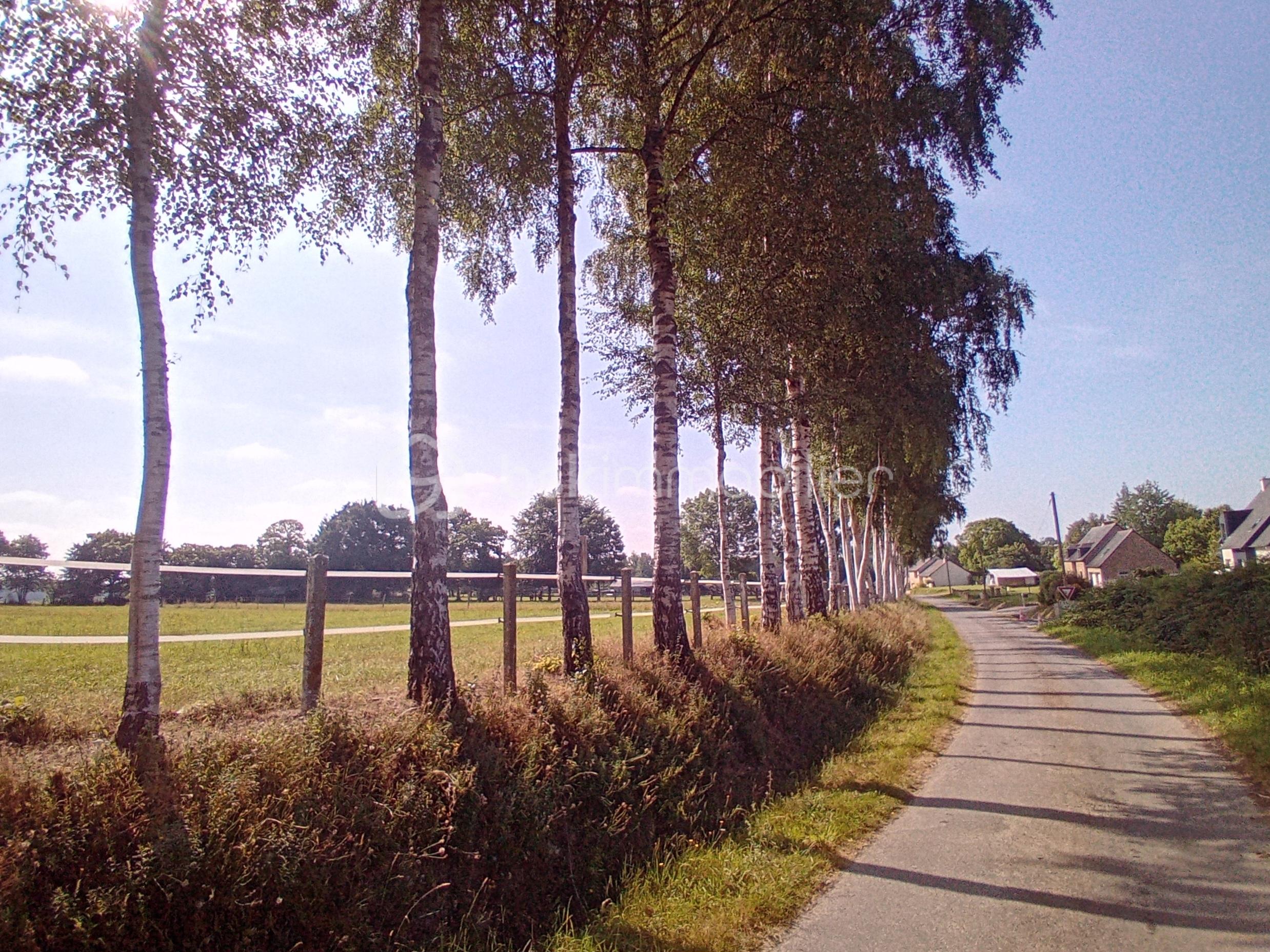 20260620_102332.jpg