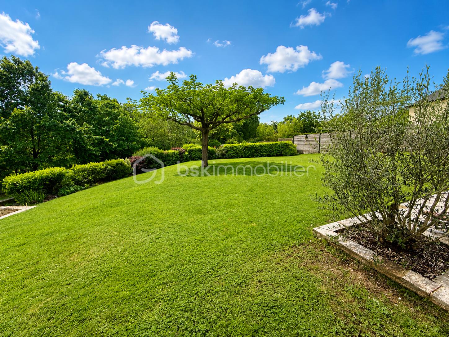 Jardin.PNG