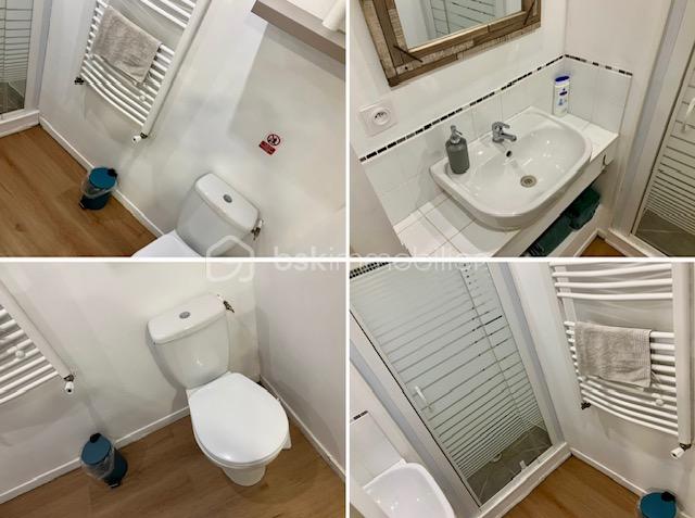 Immeuble commercial de 200 m² - surelle amalgame salle d'eau souplex.jpg