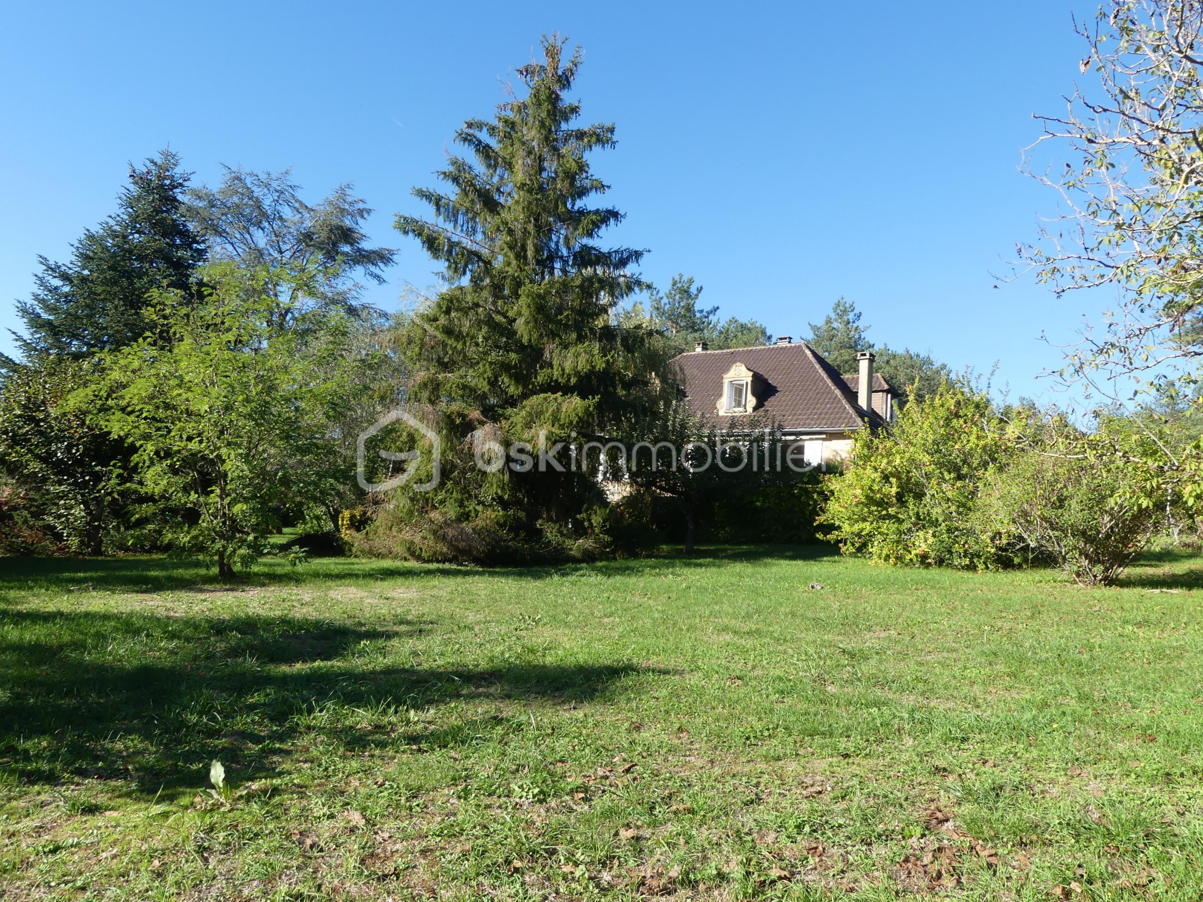 vue maison terrain.JPG