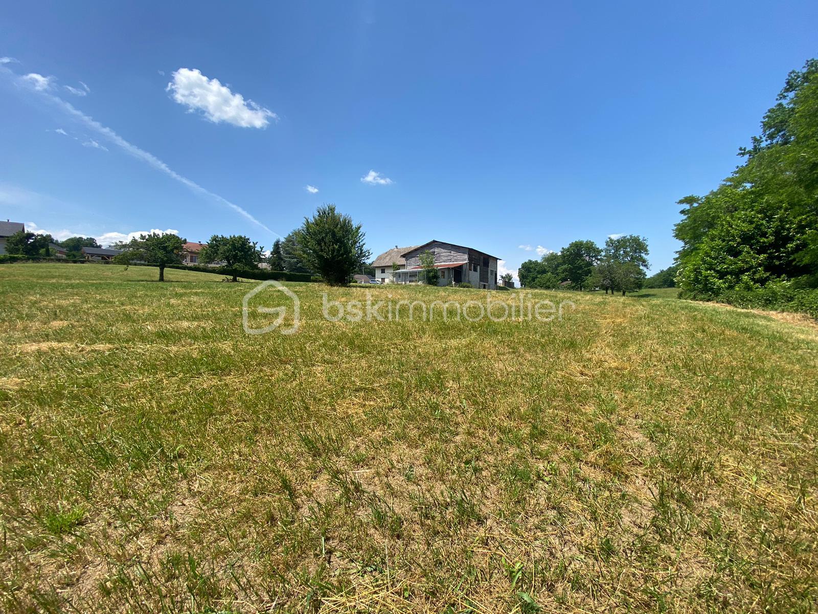 Lotissement de 4 733 m² - aa647b8b-bb1b-4010-9147-a83d6de01f50.JPG