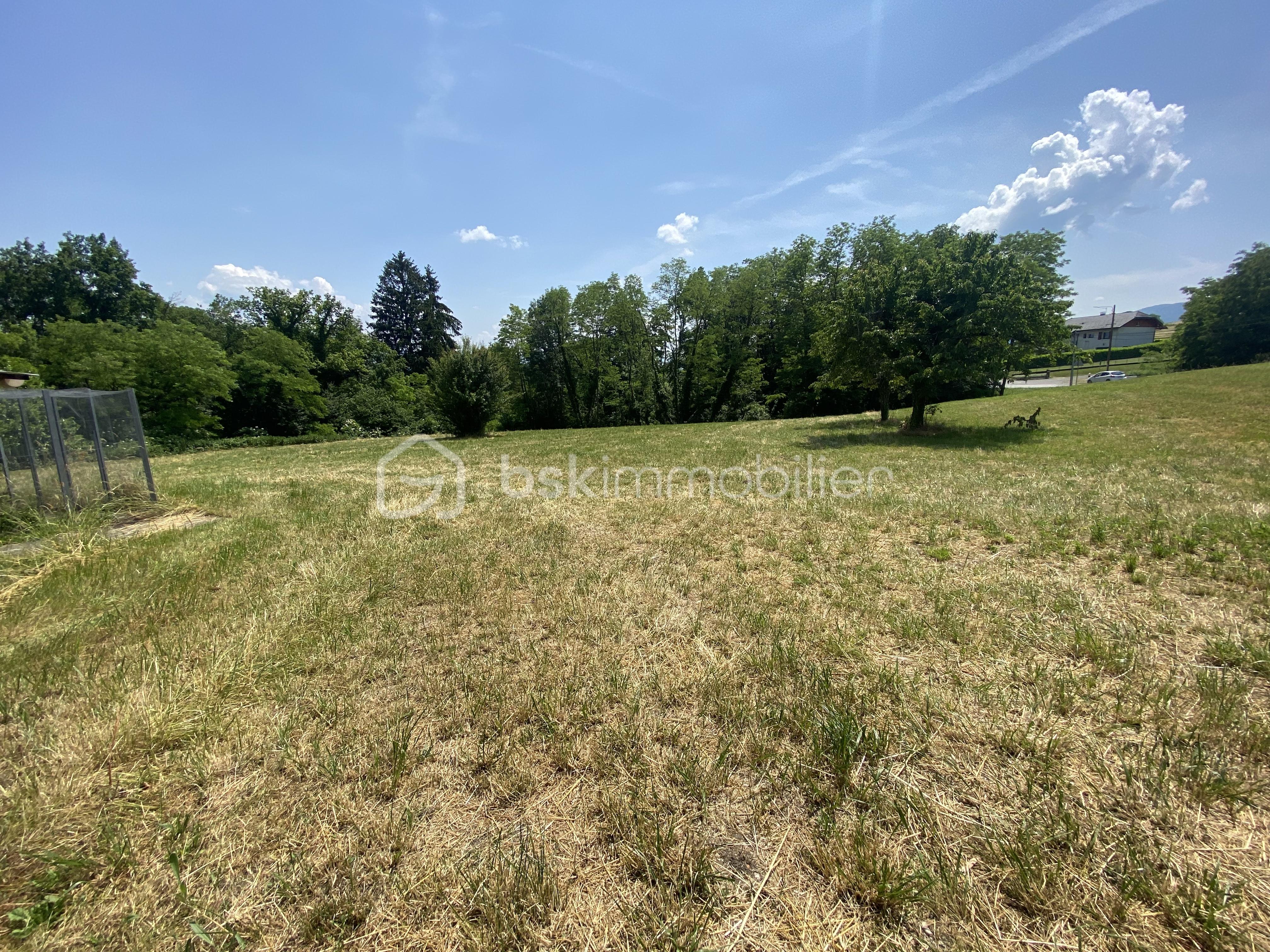 Lotissement de 4 733 m² - IMG_0024.jpg