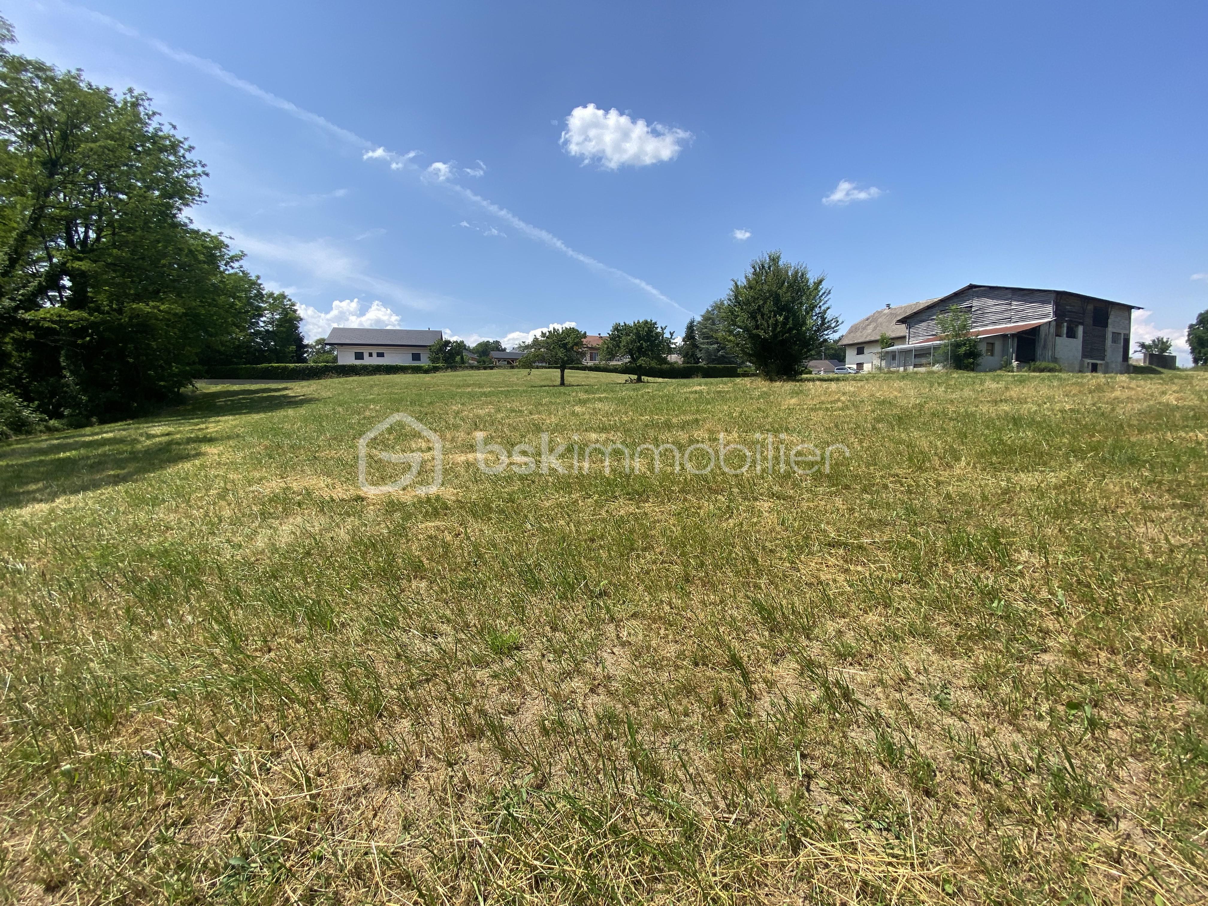 Lotissement de 4 733 m² - IMG_0027.jpg