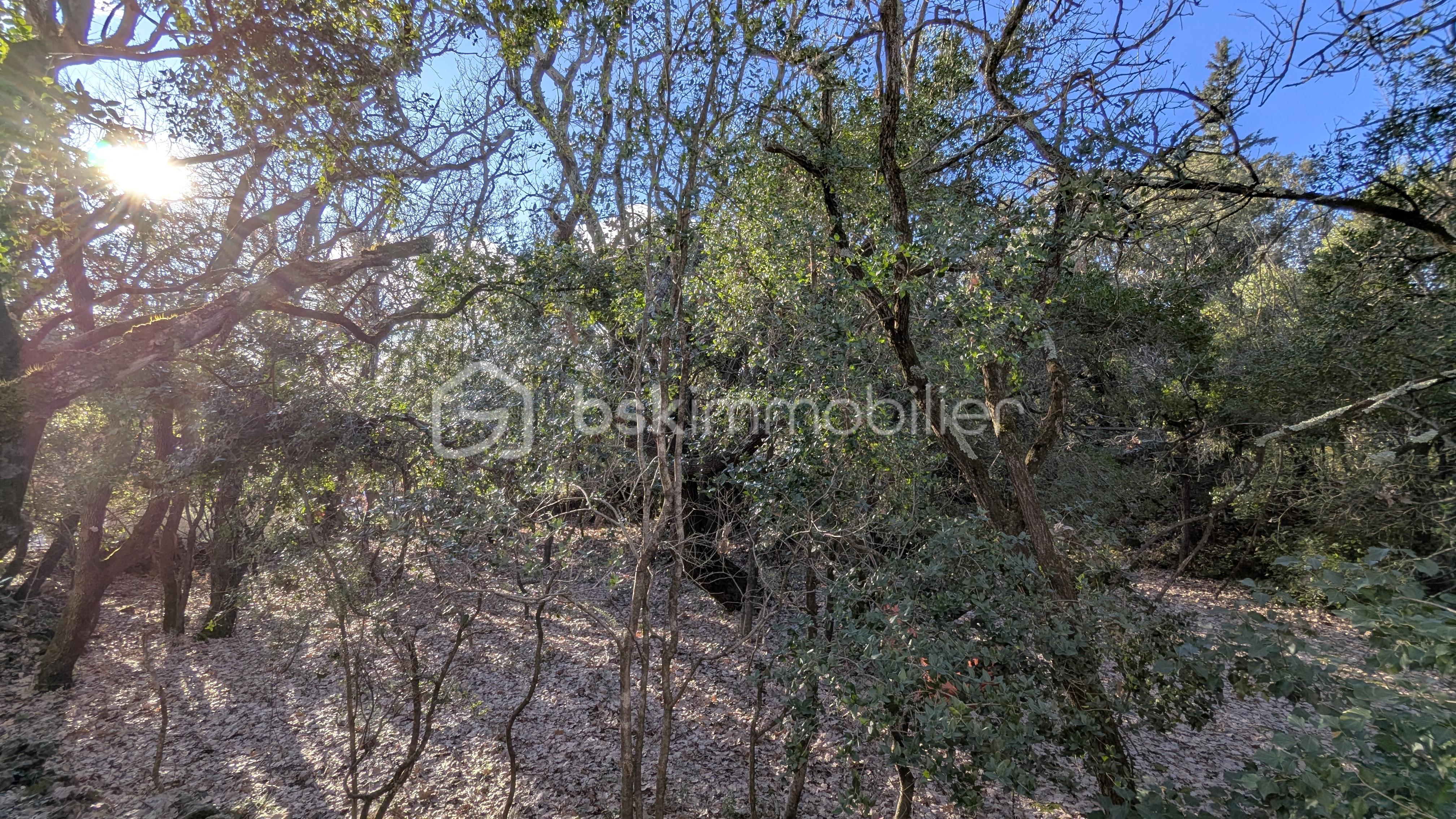 Maison de 128,50 m² - PXL_20260131_151545078.jpg