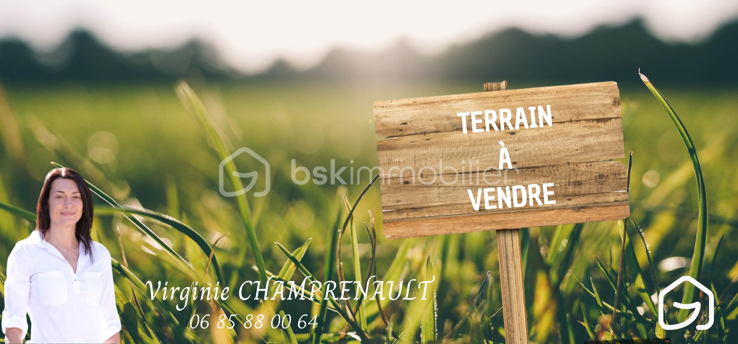 terrain a vendre.png