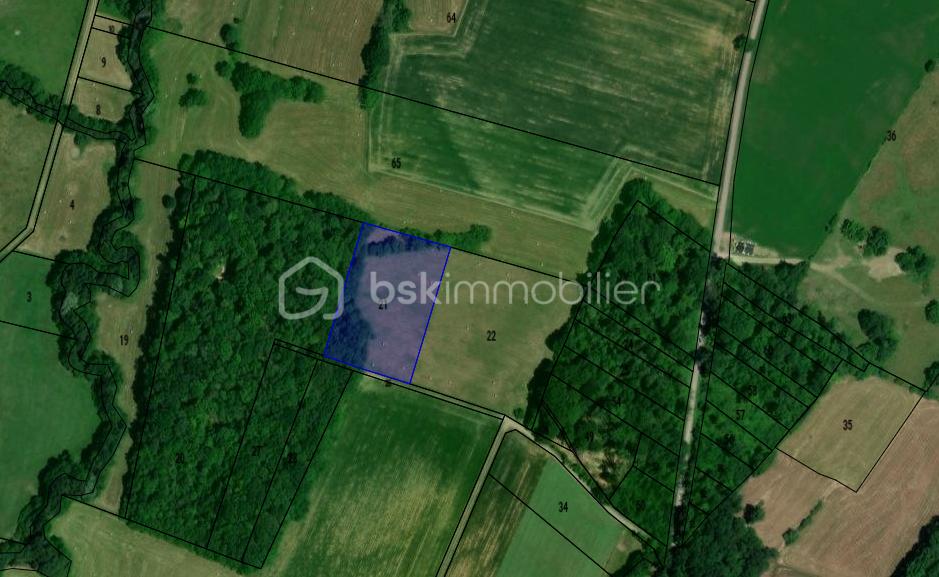 Terrain agricole de 7 620 m² - Capture.PNG