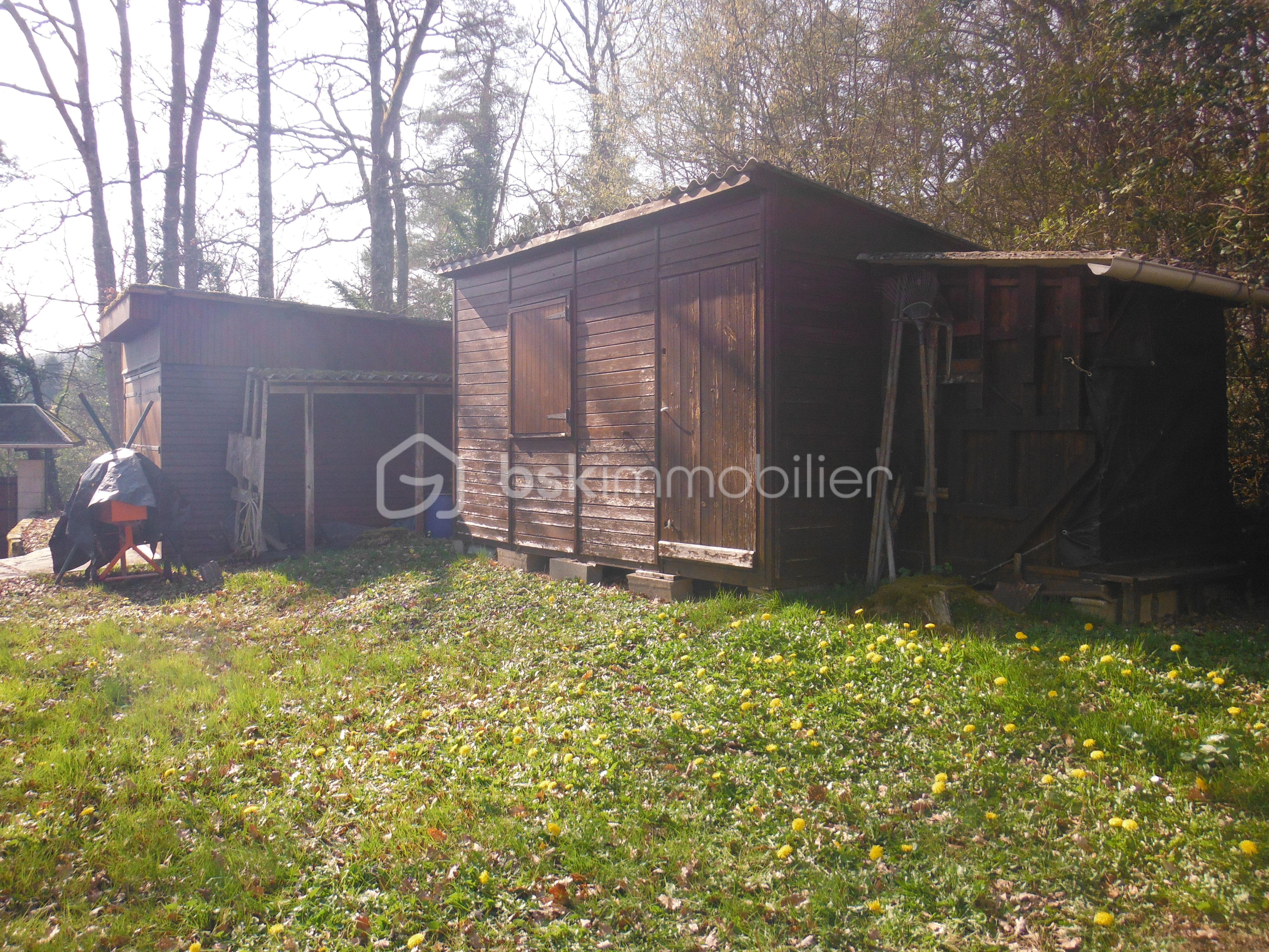 DSCF2079.JPG