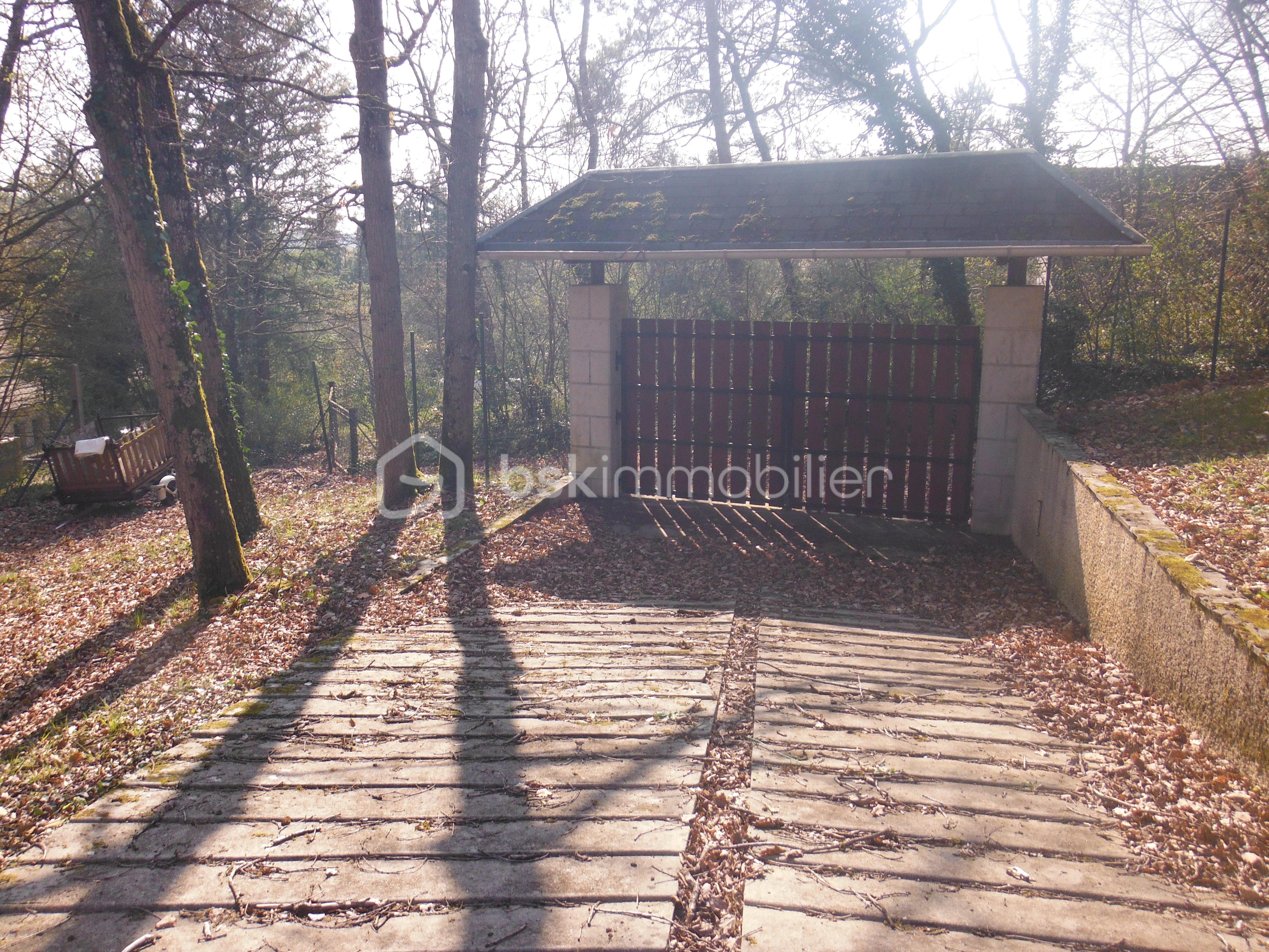 DSCF2077.JPG