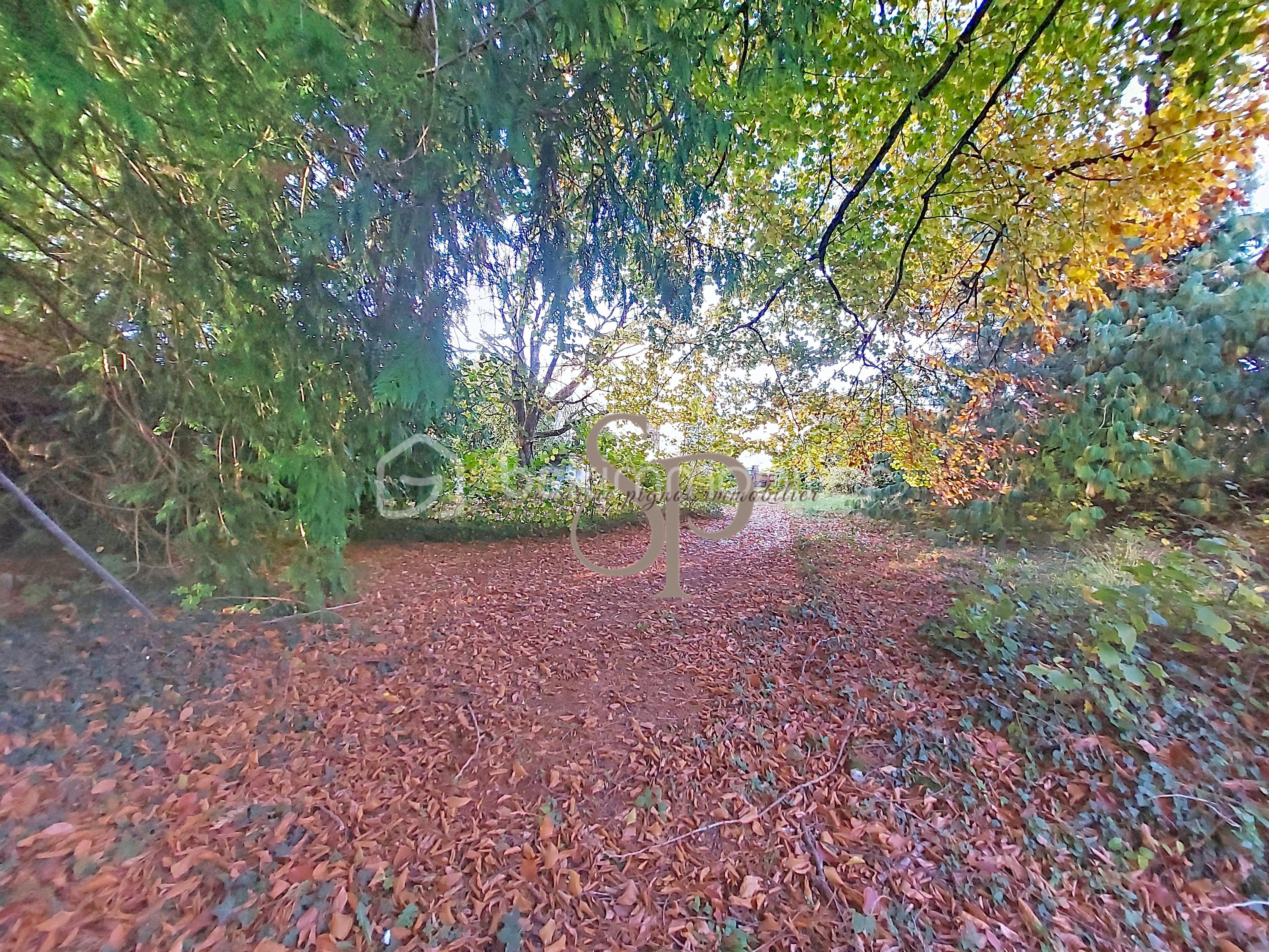 Maison en pierre de 190 m² - lorrez_00018.jpg