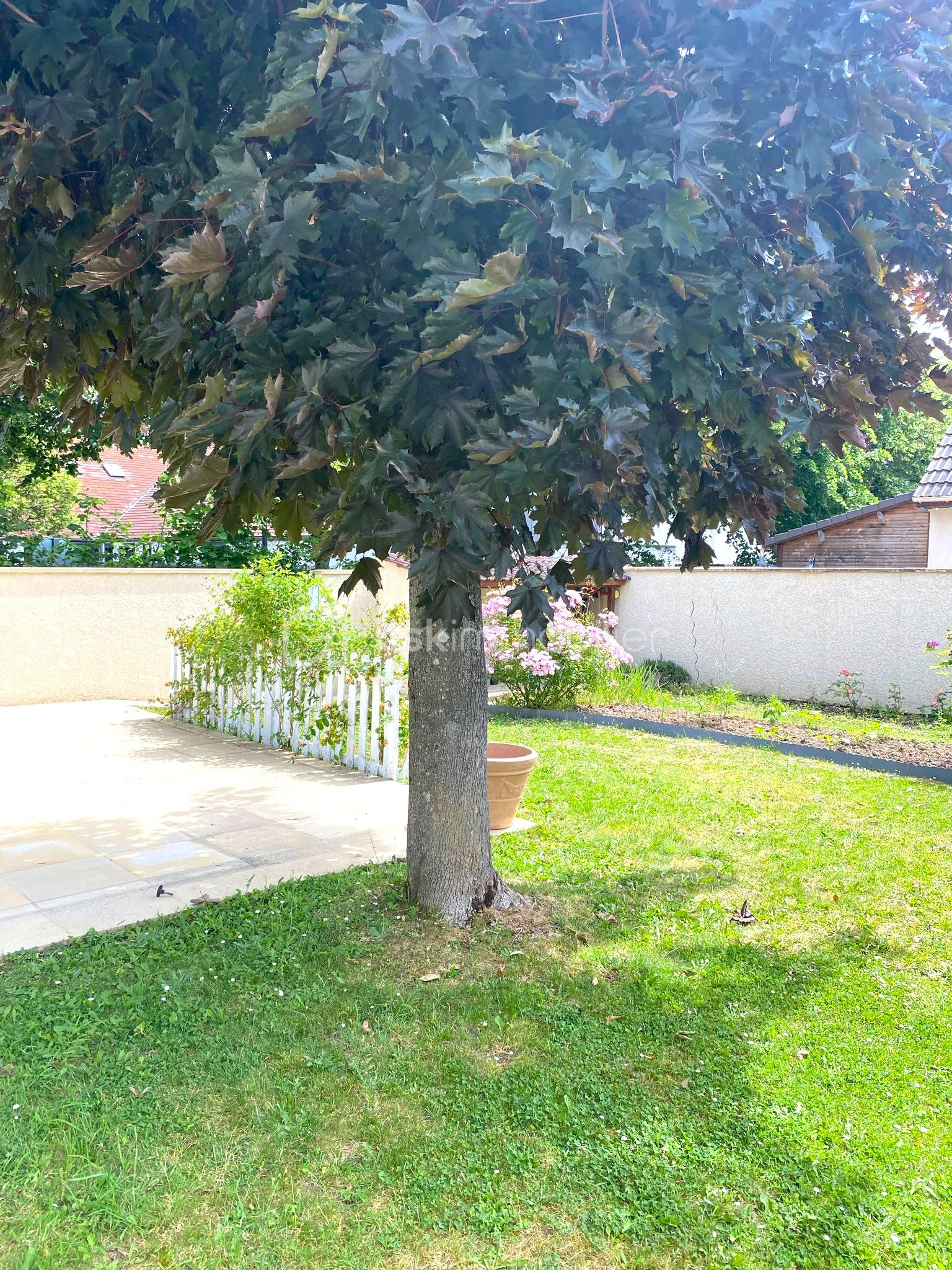 nouvelle photo jardin.jpeg