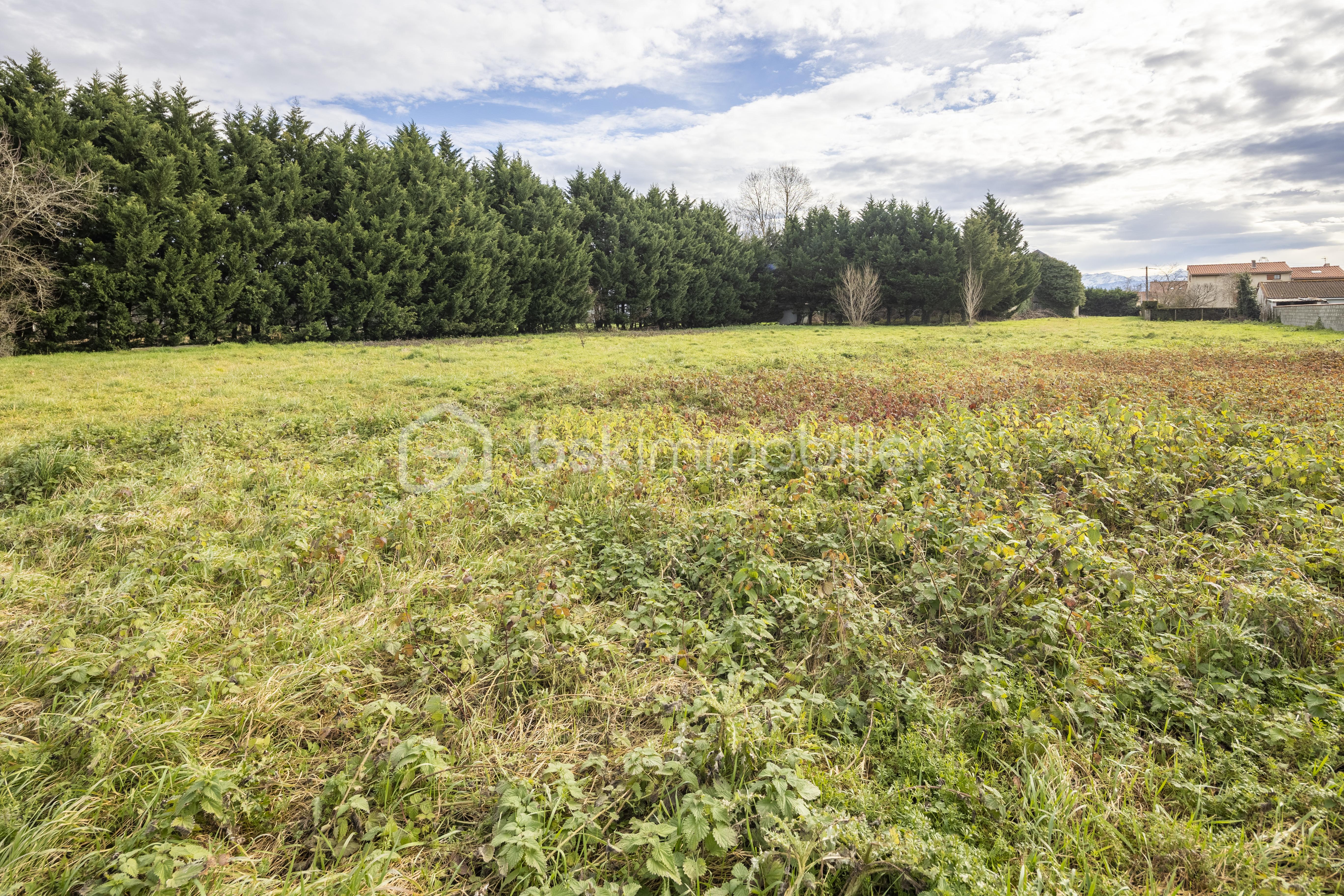 Domaine de 376,44 m² - 11.jpg