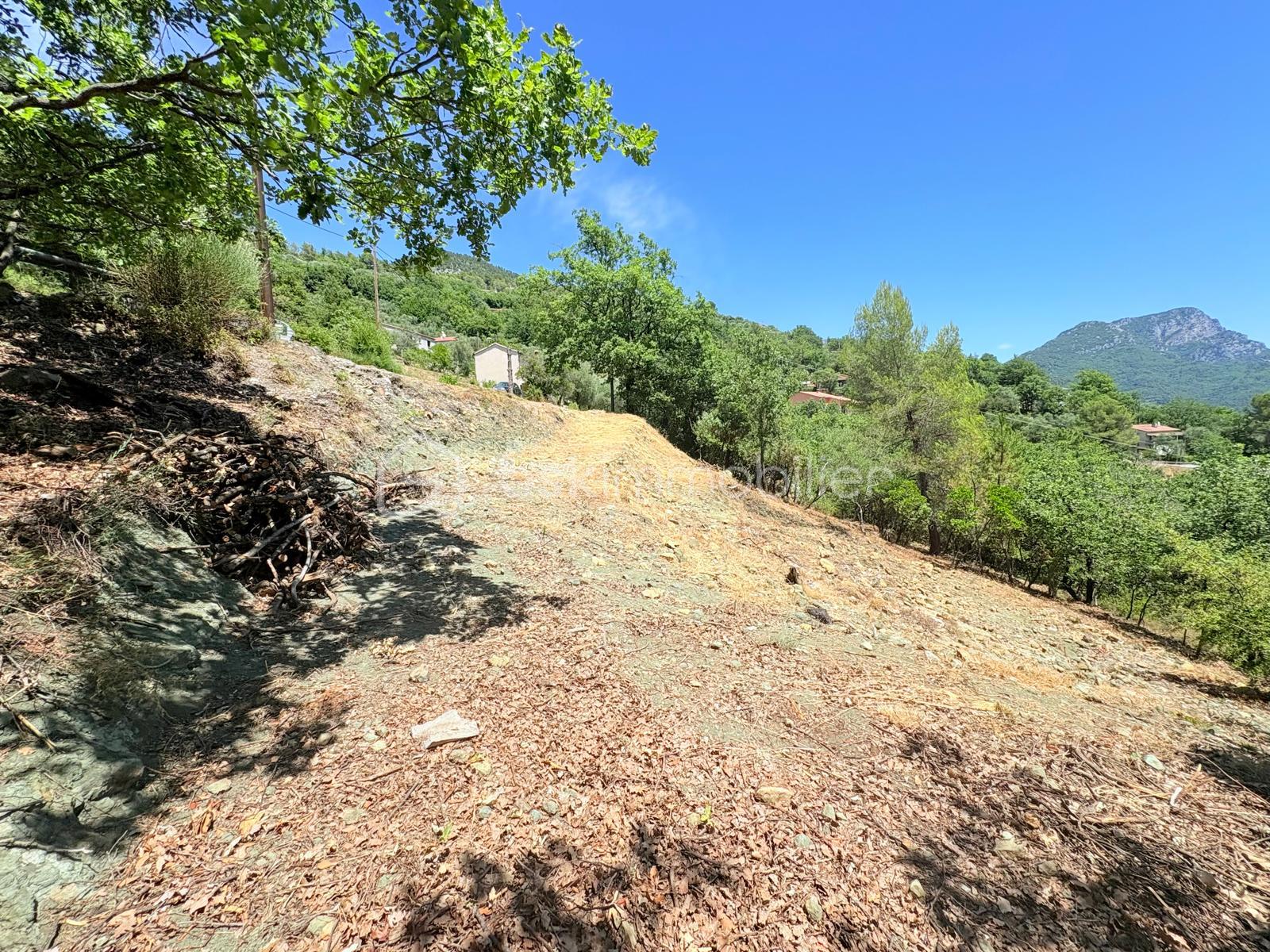 Terrain de 1 605 m² - WhatsApp Image 2025-08-21 at 00.09.22.jpeg