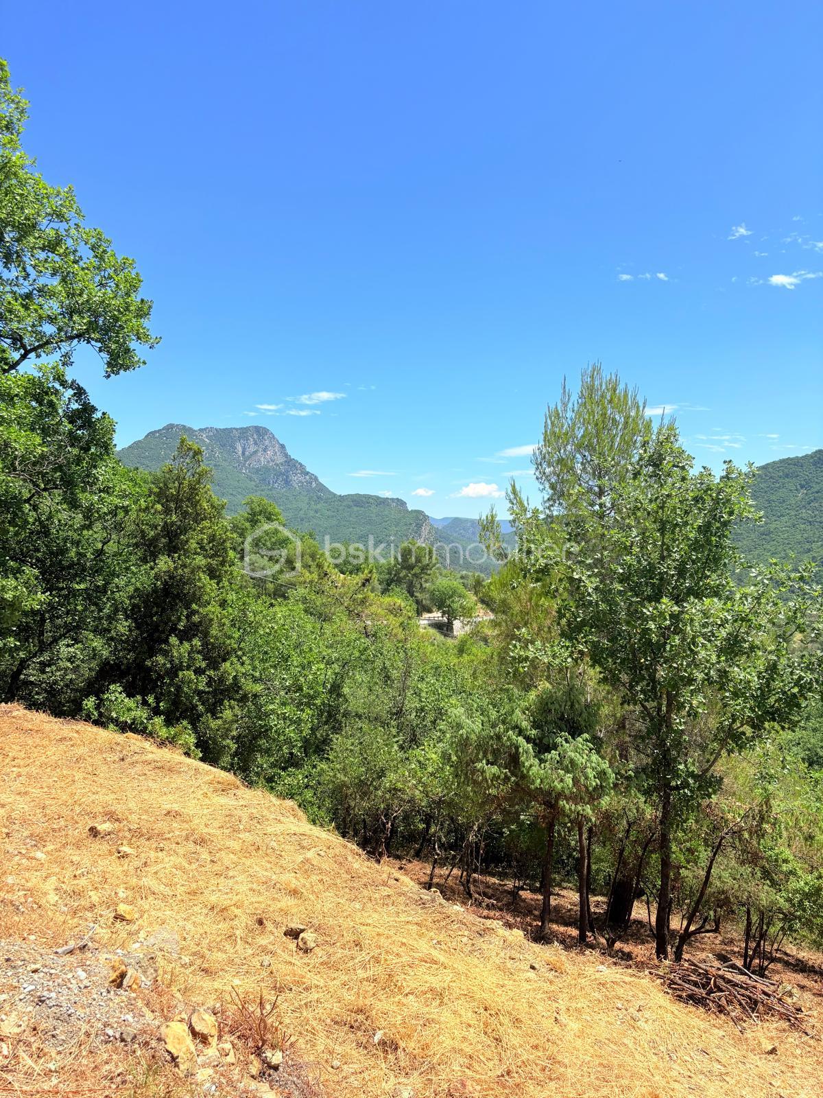 Terrain de 1 605 m² - WhatsApp Image 2025-08-21 at 00.06.49.jpeg