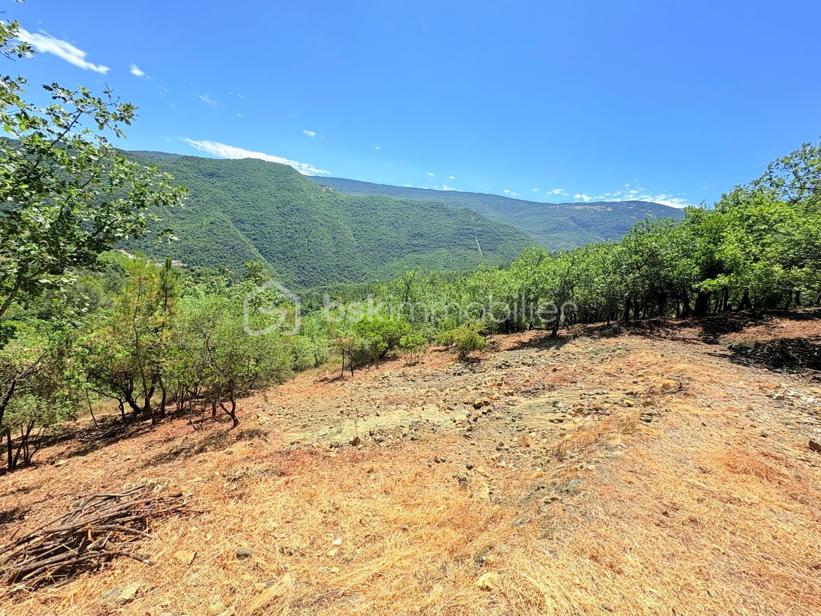 Terrain de 1 605 m² - WhatsApp Image 2025-08-21 at 00.09.46.jpeg