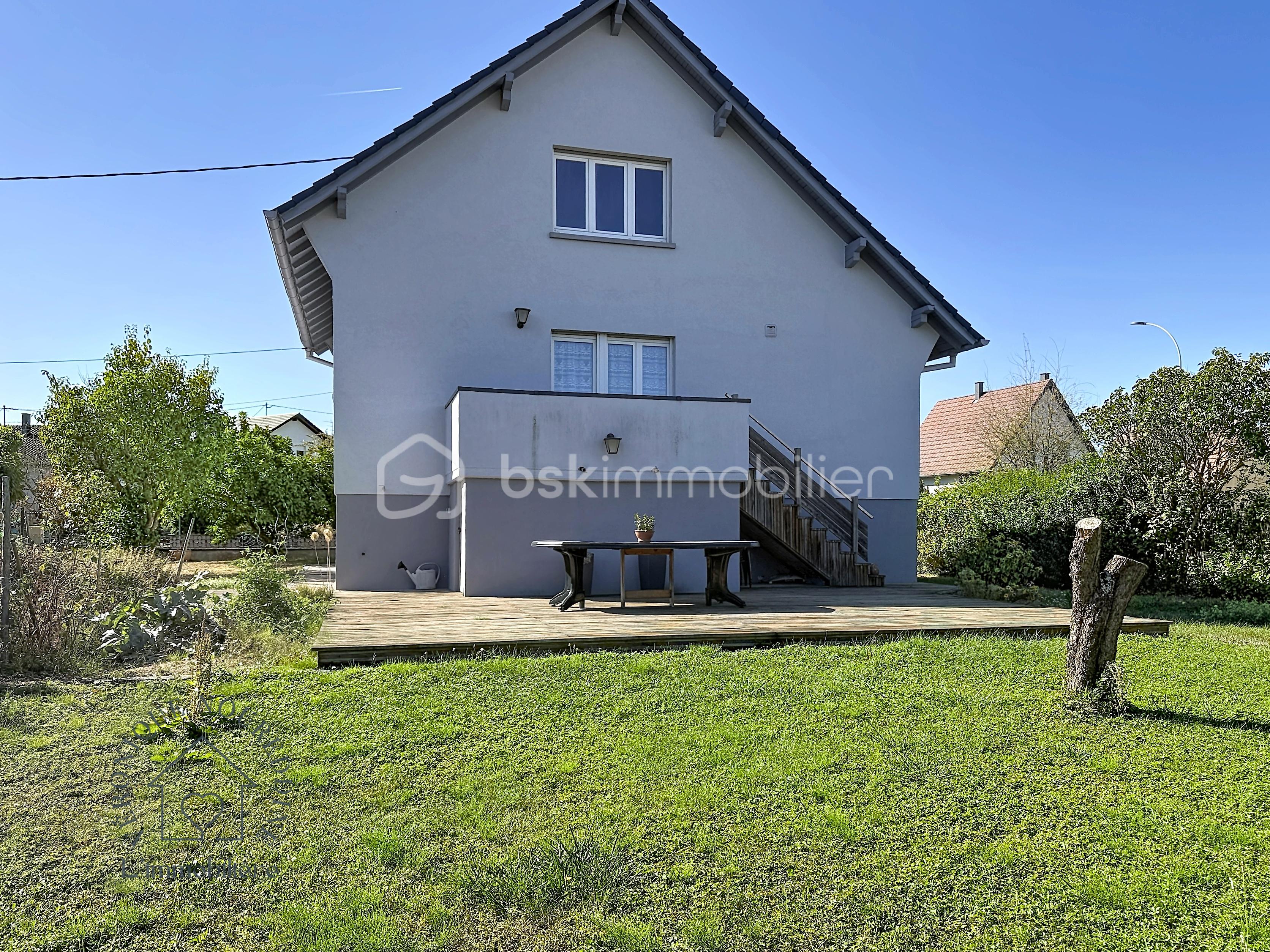 renard-g_00230.jpg