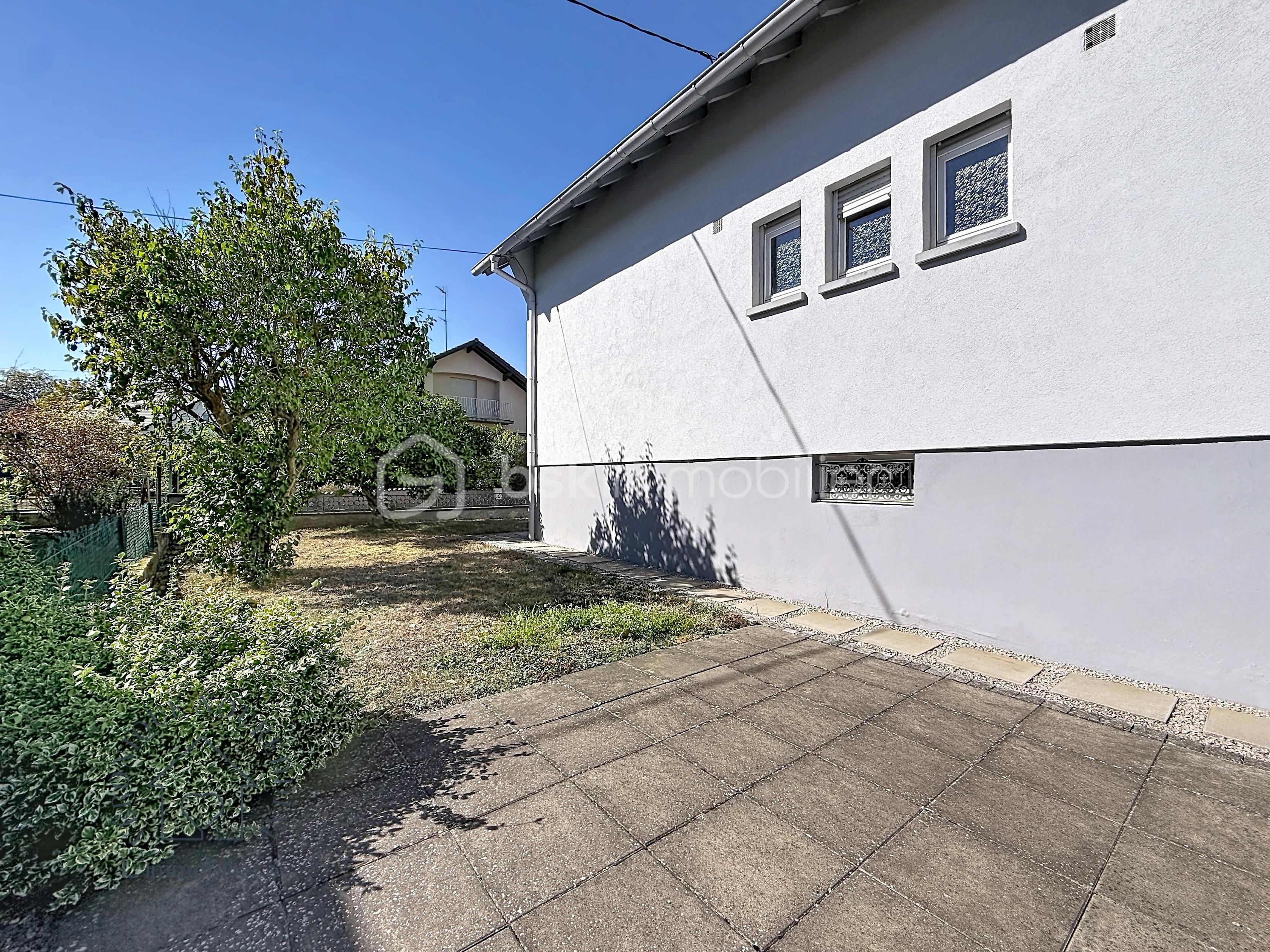 renard-g_00226.jpg