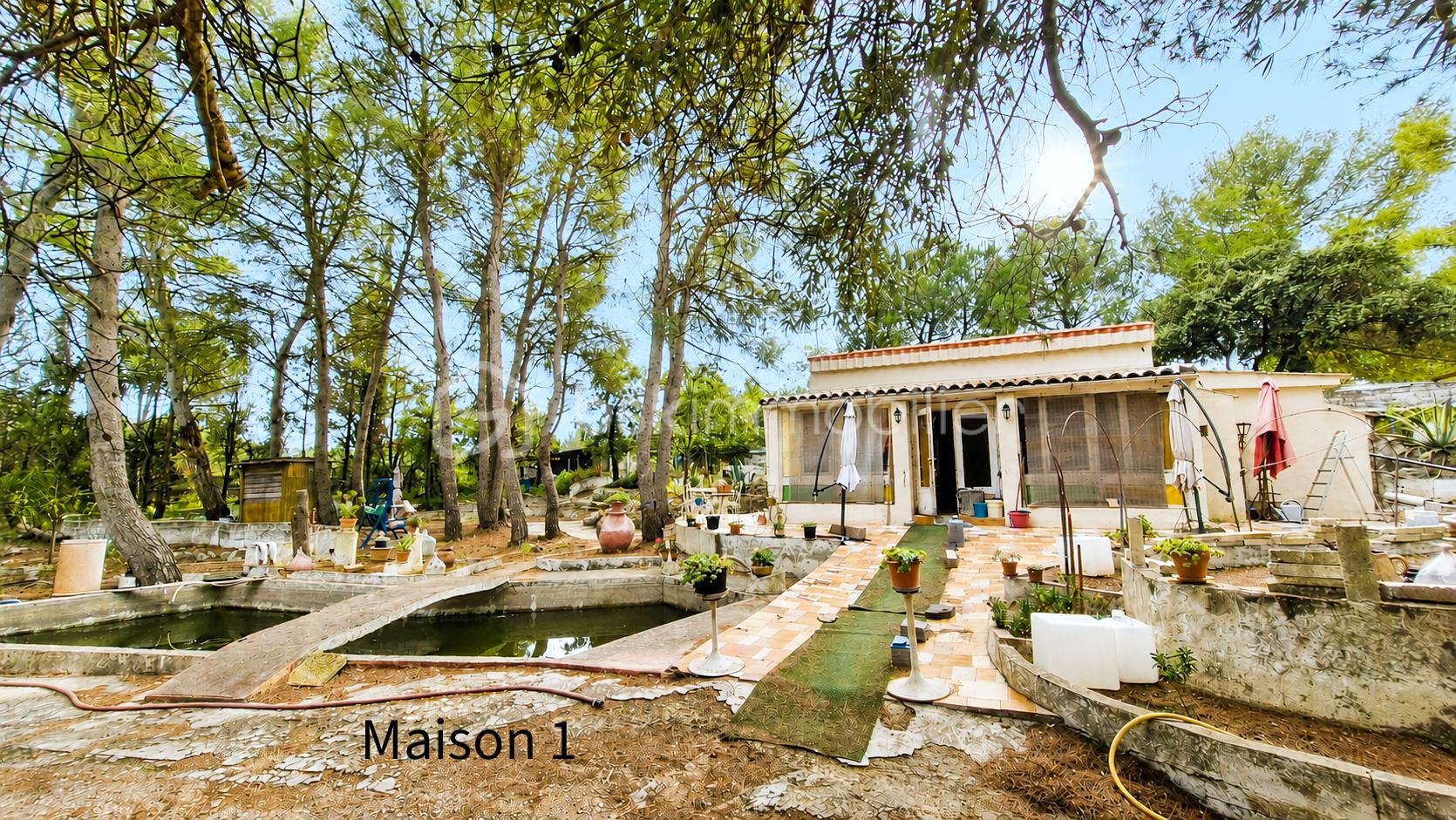 Maison 1 devant.png