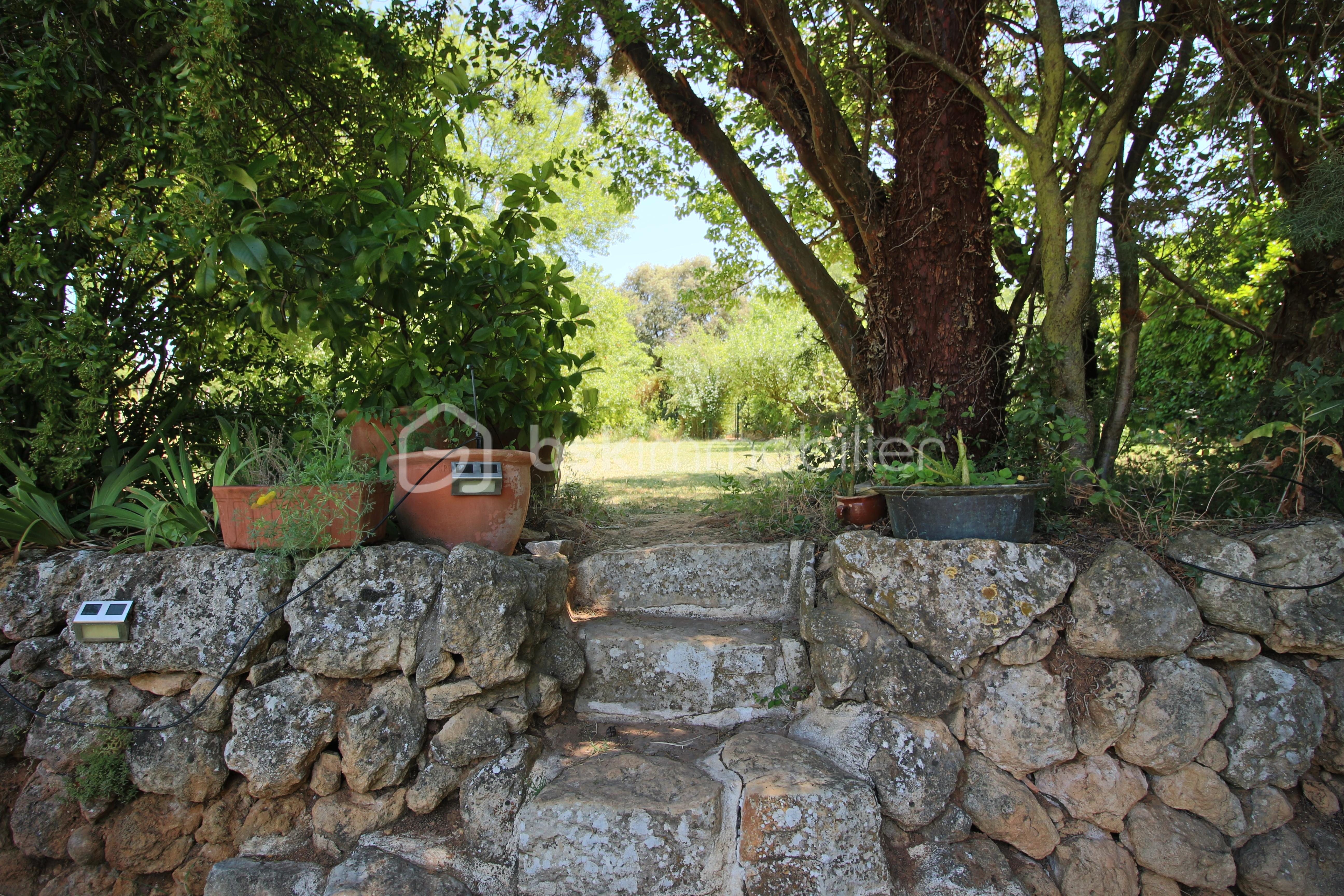Demeure de 240 m² - IMG_0819.JPG