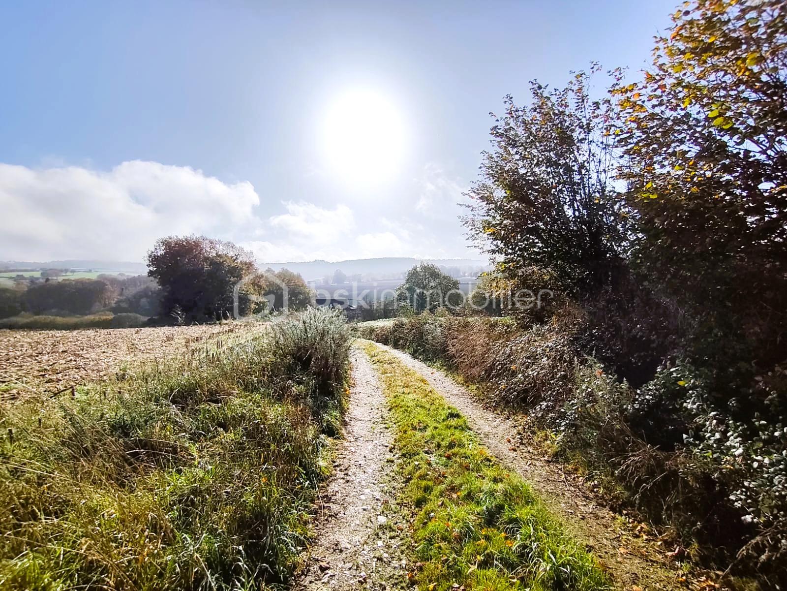 Maison de 72 m² - Champs 2.jpg