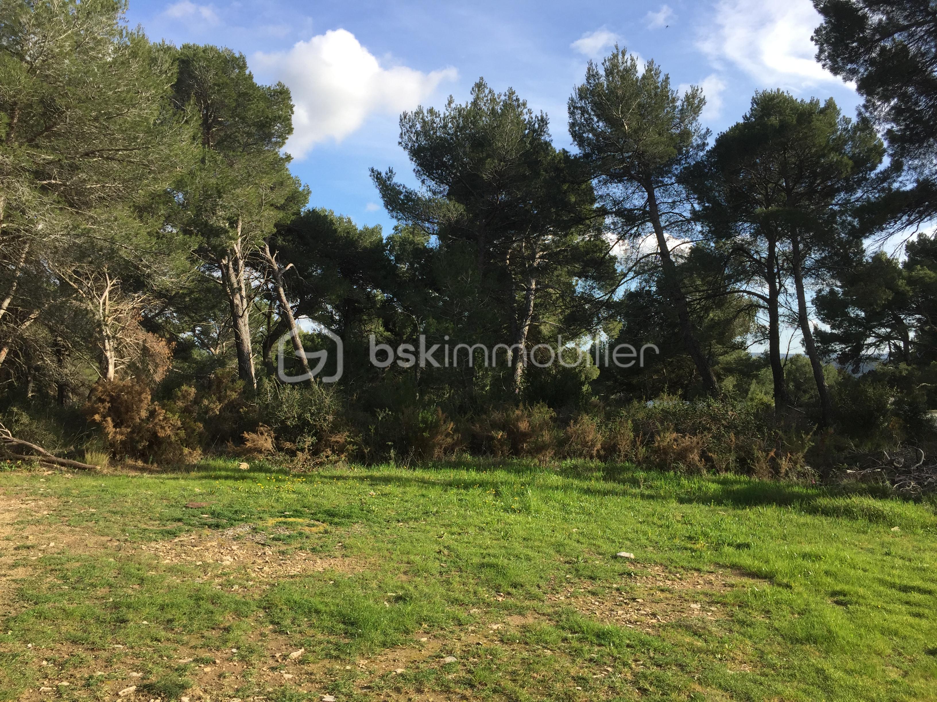 Terrain de loisirs de 4 644 m²