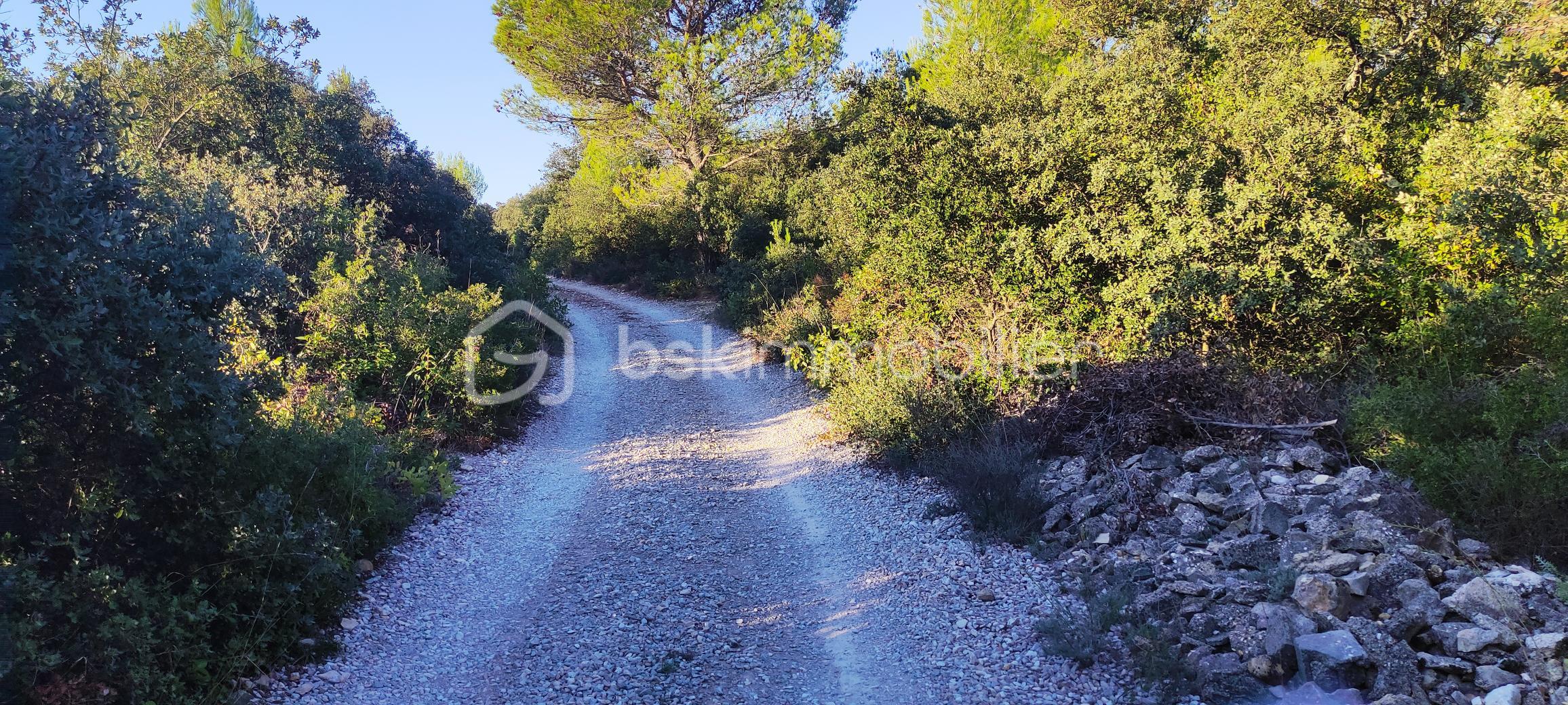 Terrain de 2 241 m² - garrigue 3.jpg