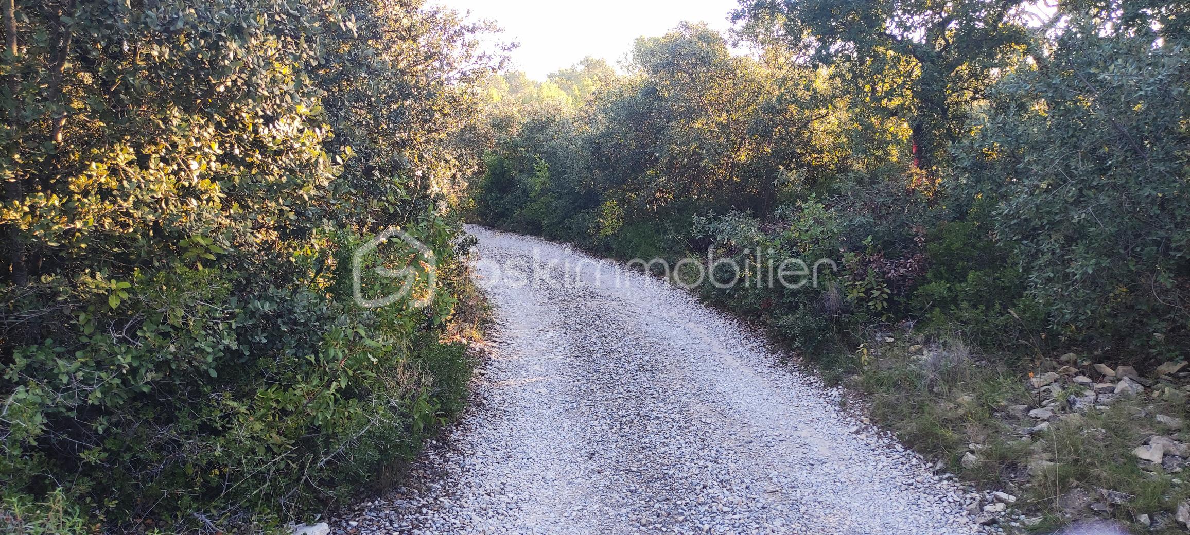 Terrain de 2 241 m² - garrigue 2 .jpg