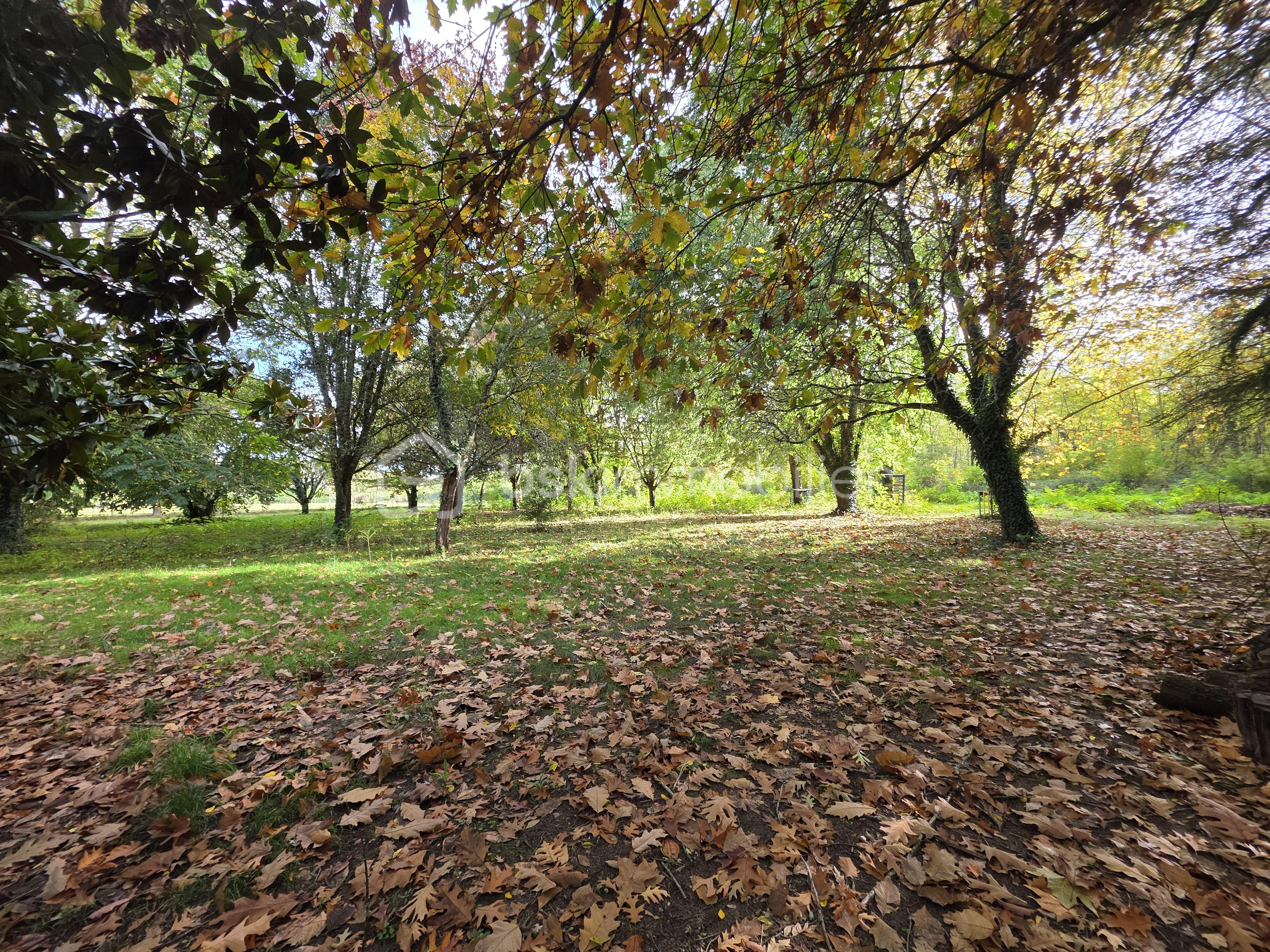 Maison de 170 m² - 20251021_162943.jpg