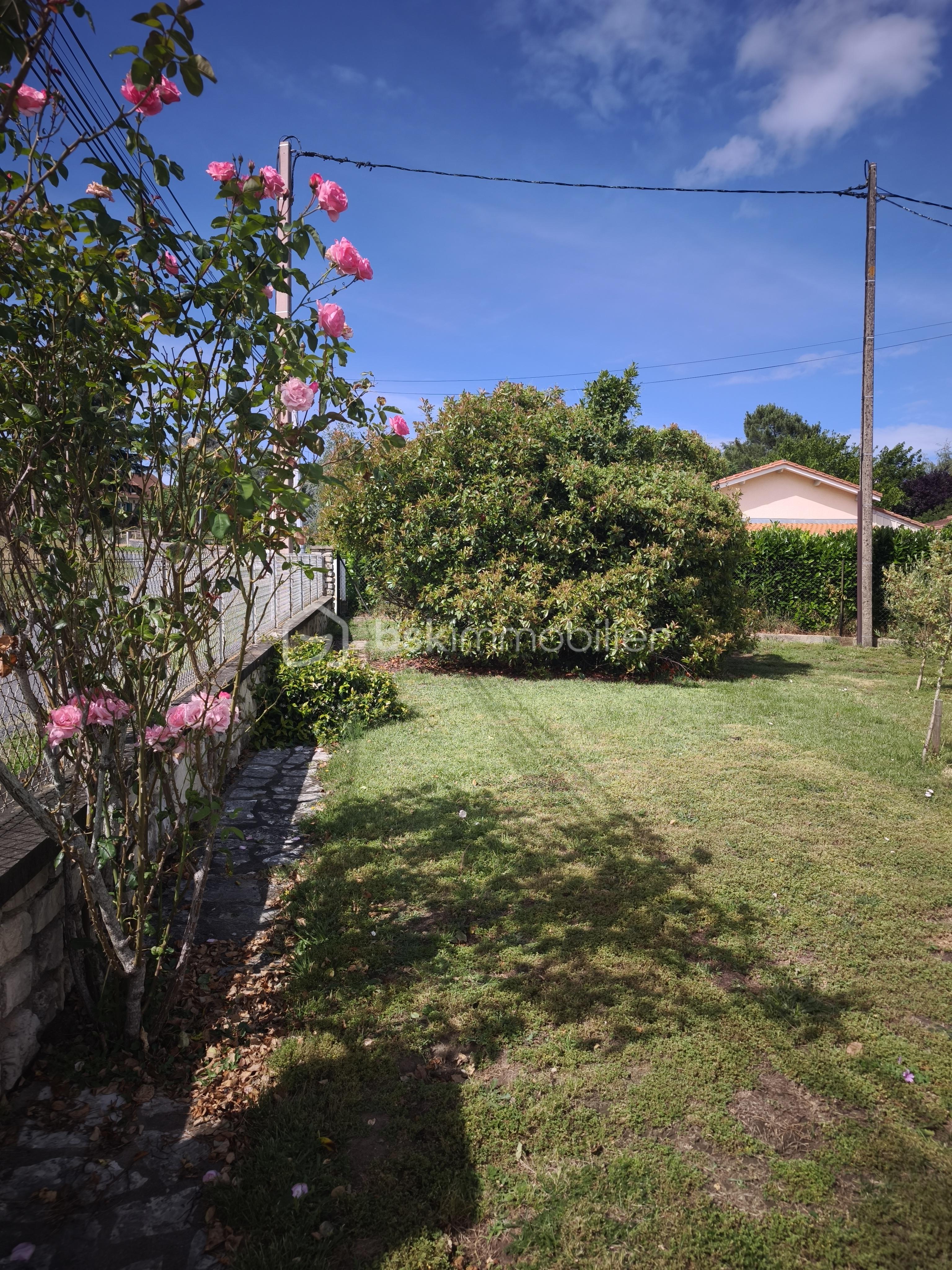 MVIMG_20260610_165540.jpg