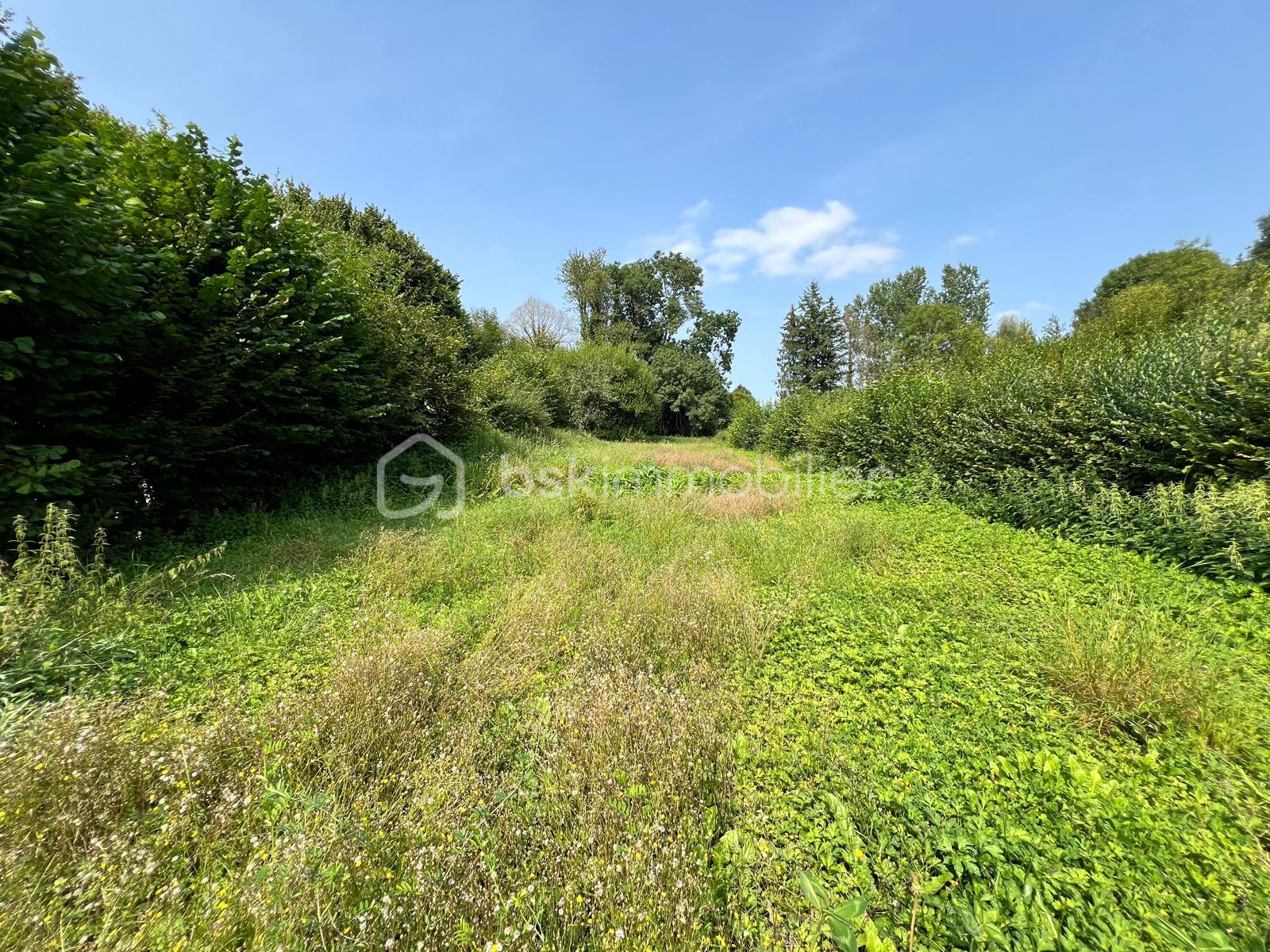 Corps de ferme de 131 m² - 240f0b49-7bab-47fc-a355-835867b2a5b1.JPG