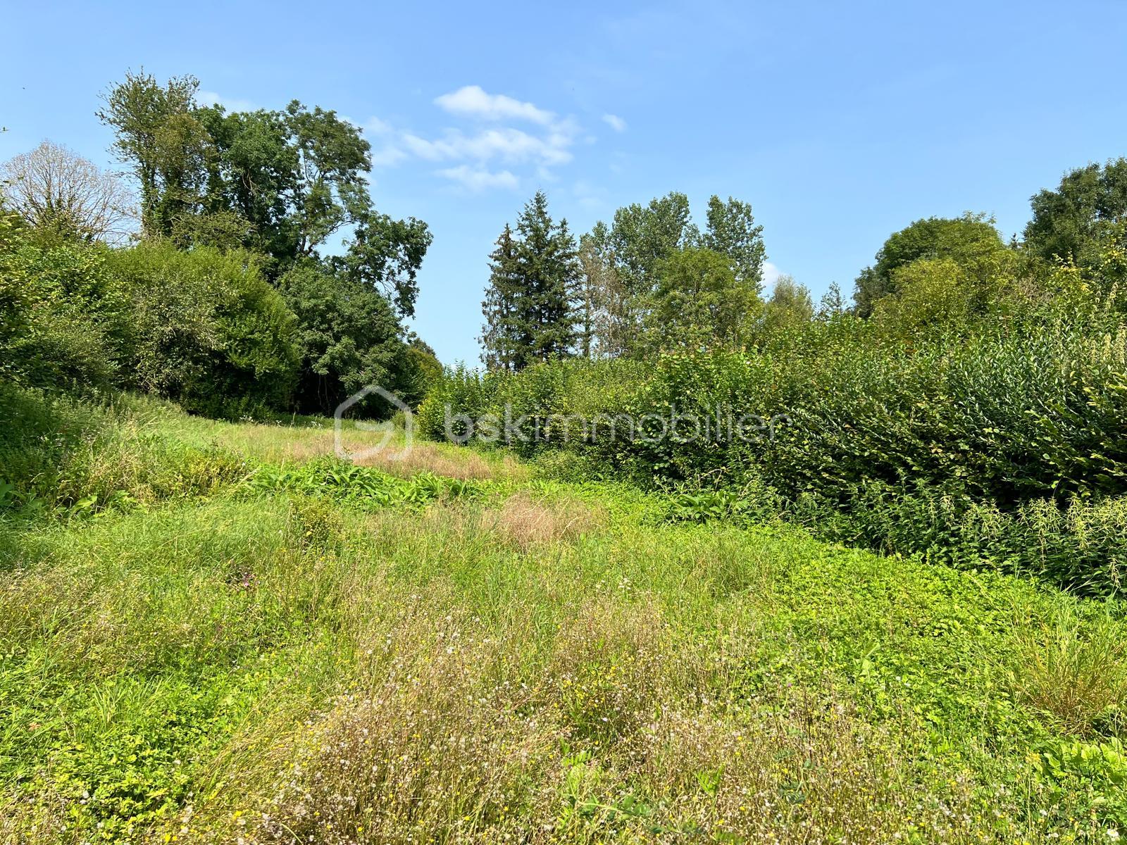 Corps de ferme de 131 m² - aa395922-2e14-4c05-a069-7a518499b363.JPG