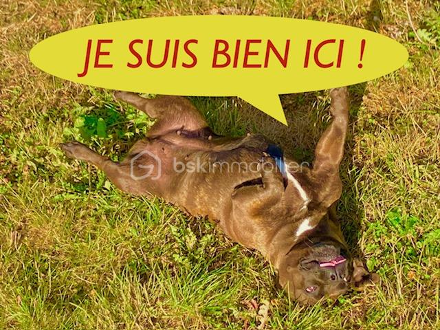 Maison de 100 m² - lannoy je suis bien ici.jpg